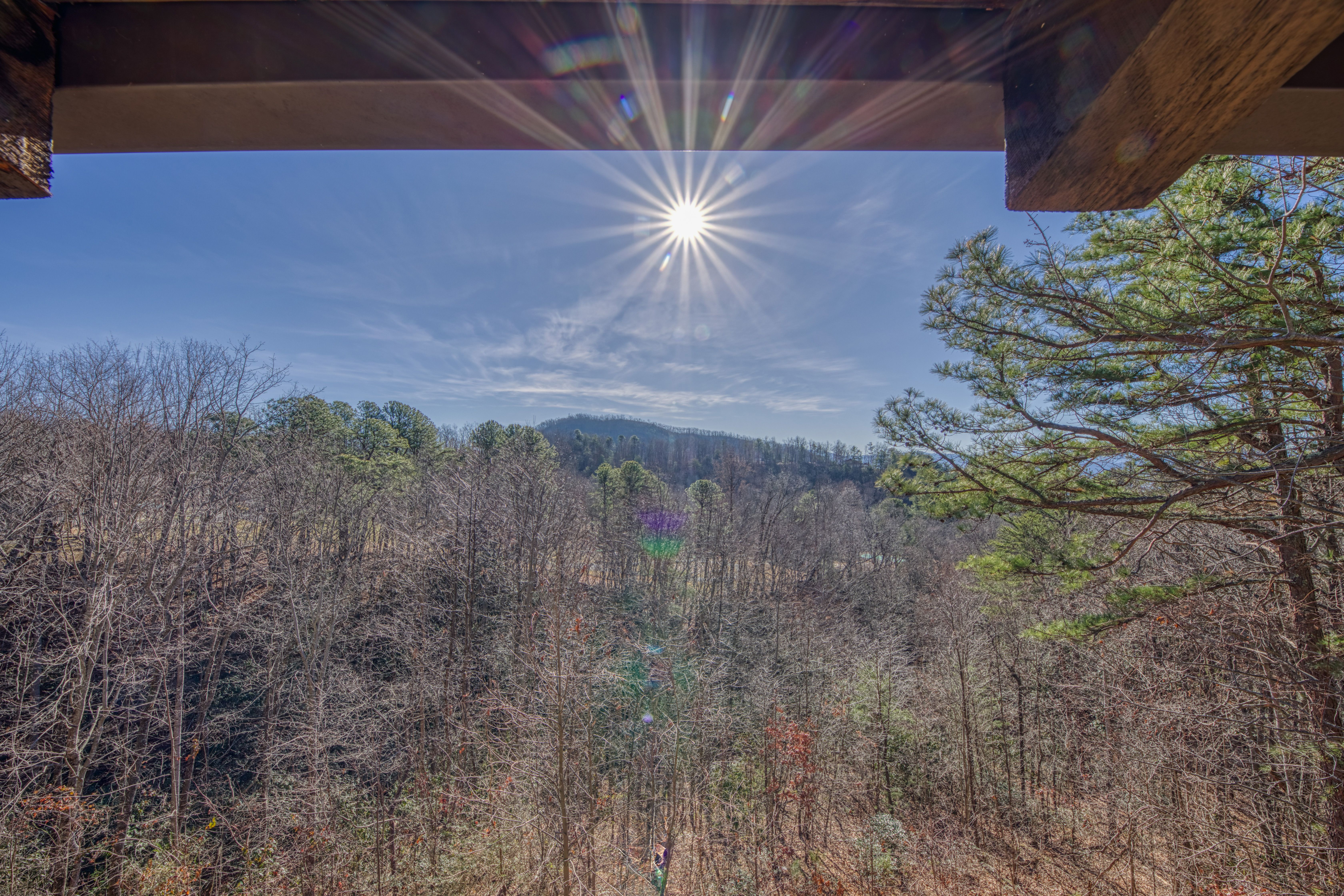  1081 Cove Road, Sevierville, TN 37876 - 物件實景