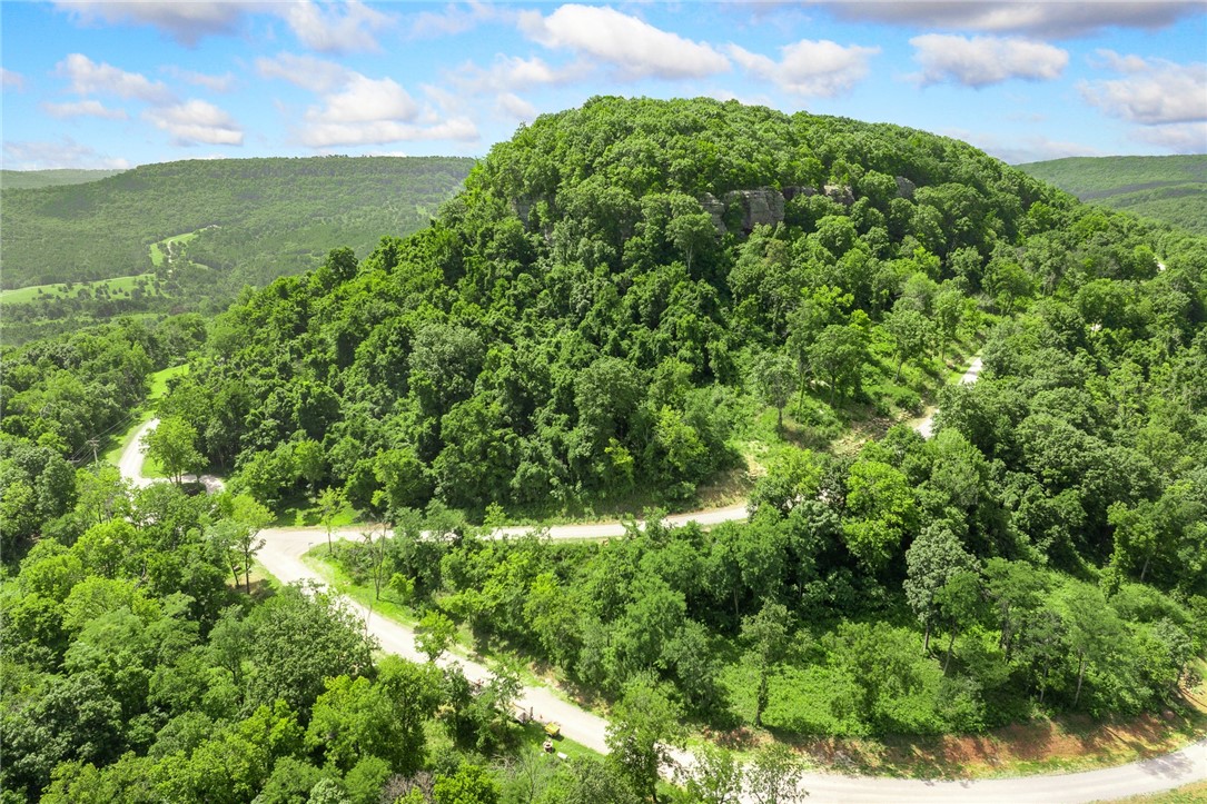 Harrison, Arkansas, 72601, United States, ,Land,For Sale,1903460