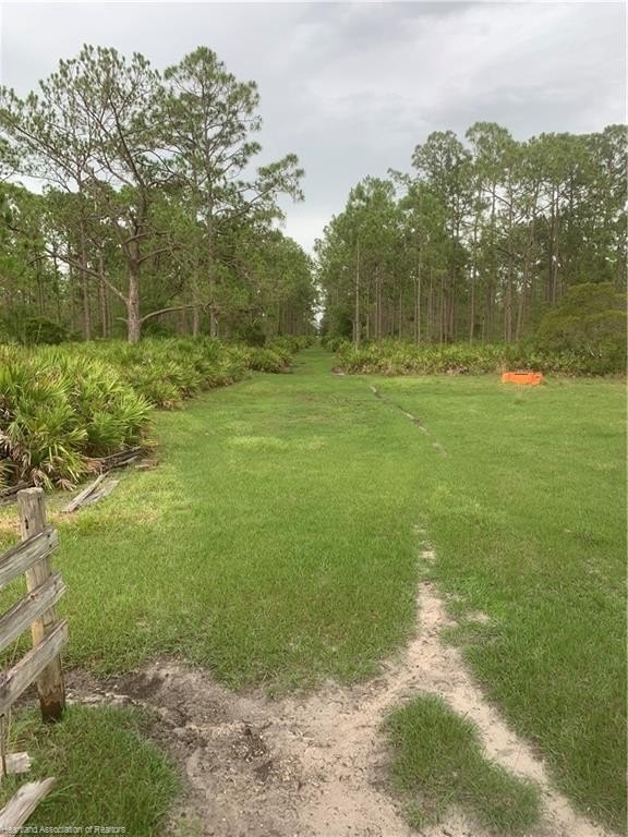 Venus, Florida, 33960, United States, ,Land,For Sale,1984372