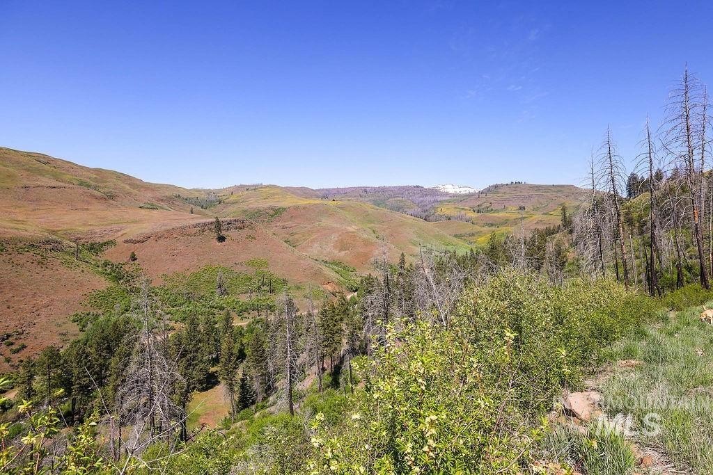 Council, Idaho, 83612, United States, ,Residential,For Sale,1862004