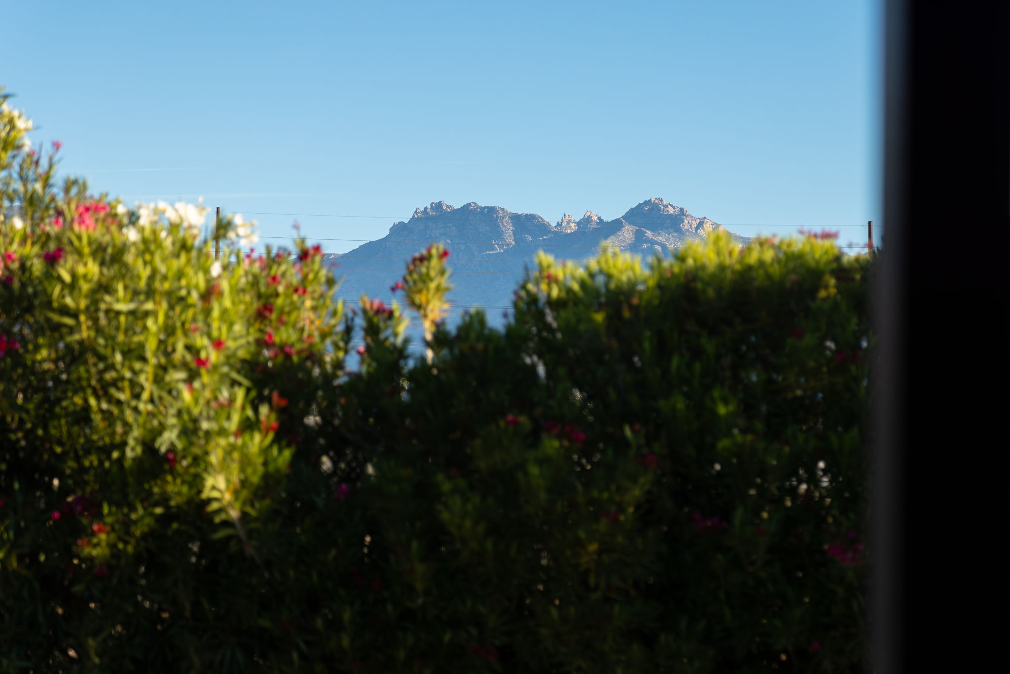  6861 E Hawthorne Circle¦Tucson, AZ - 物件實景