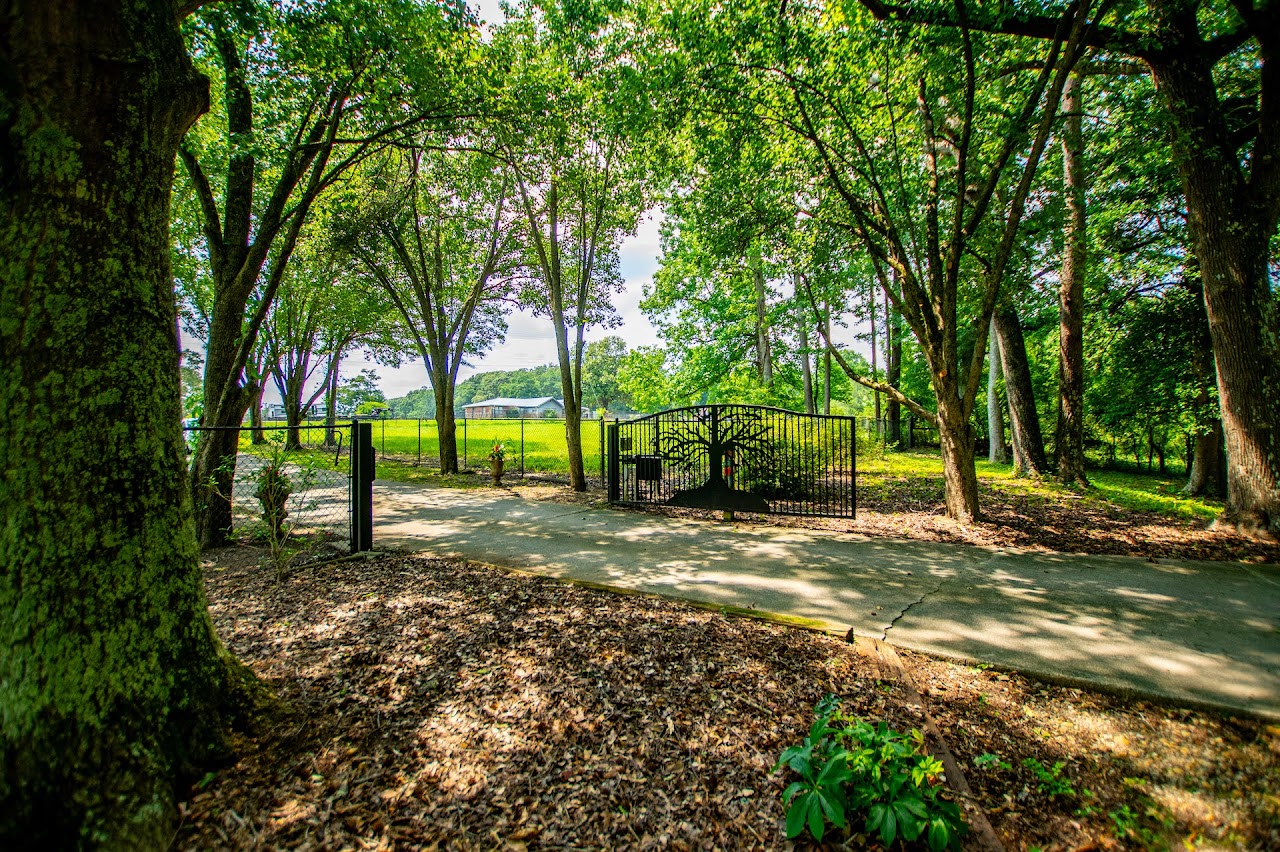 Carrollton, Georgia, 30117, United States, 4 Bedrooms Bedrooms, ,5 BathroomsBathrooms,Residential,For Sale,1861249