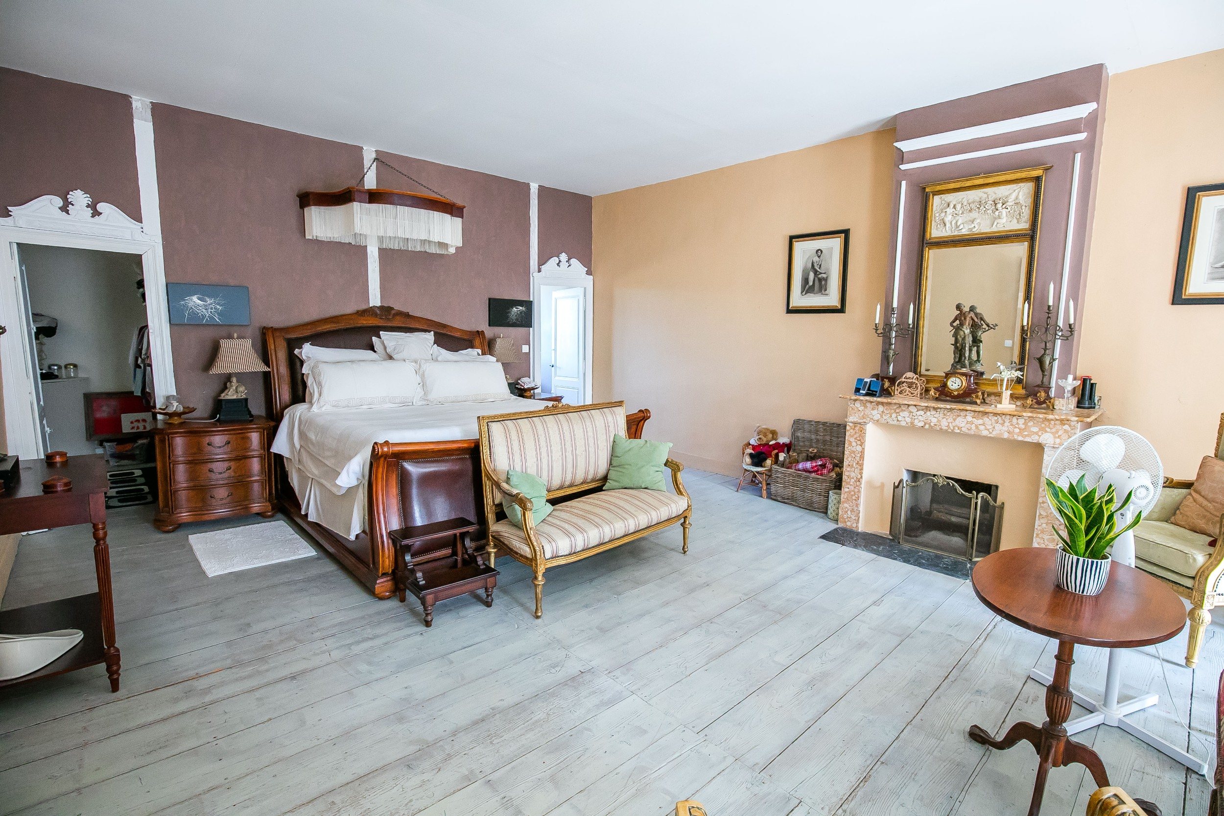  Very nice estate with chateau and outbuildings - 物件實景