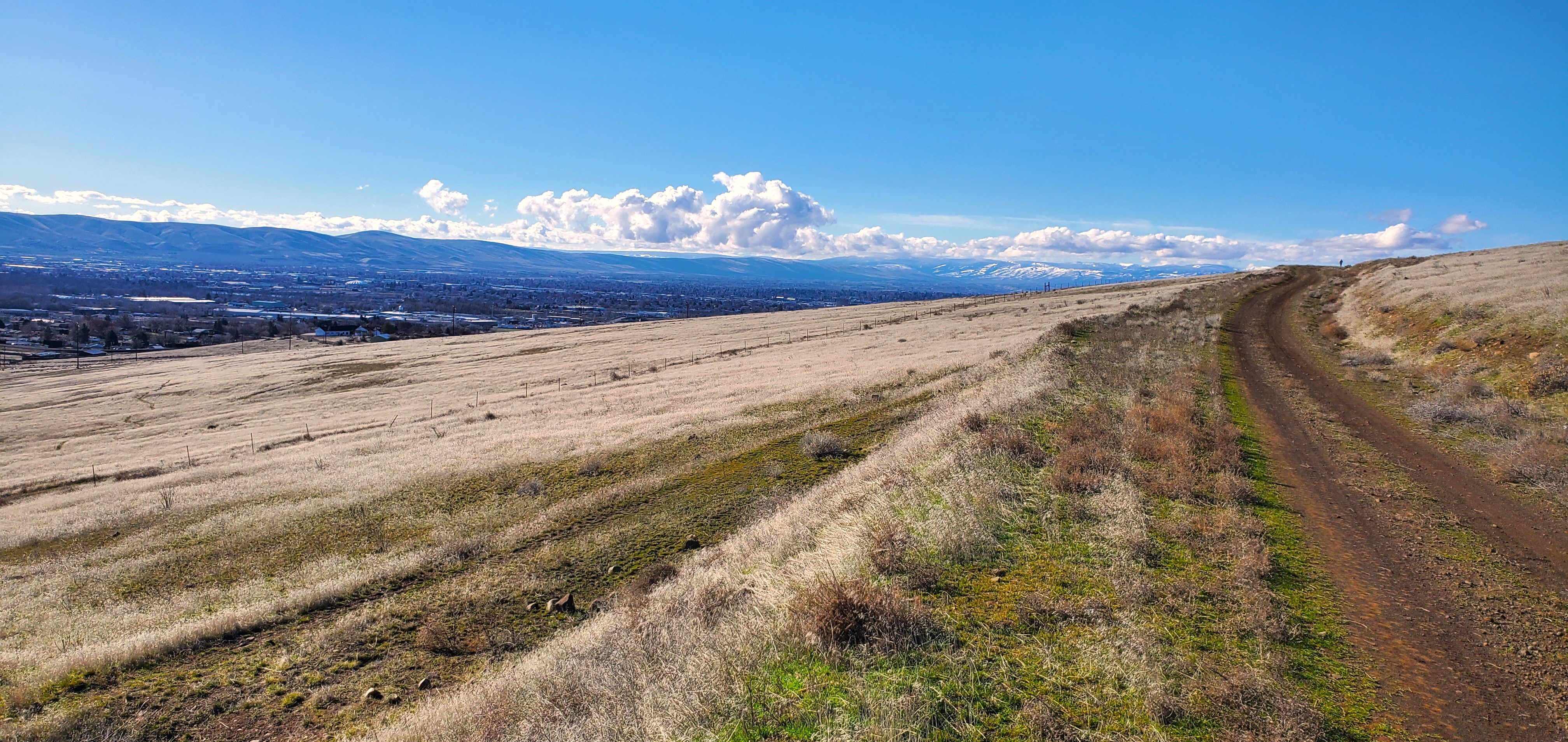 351 Kristi Lane, Yakima, WA 98901 - 物件實景