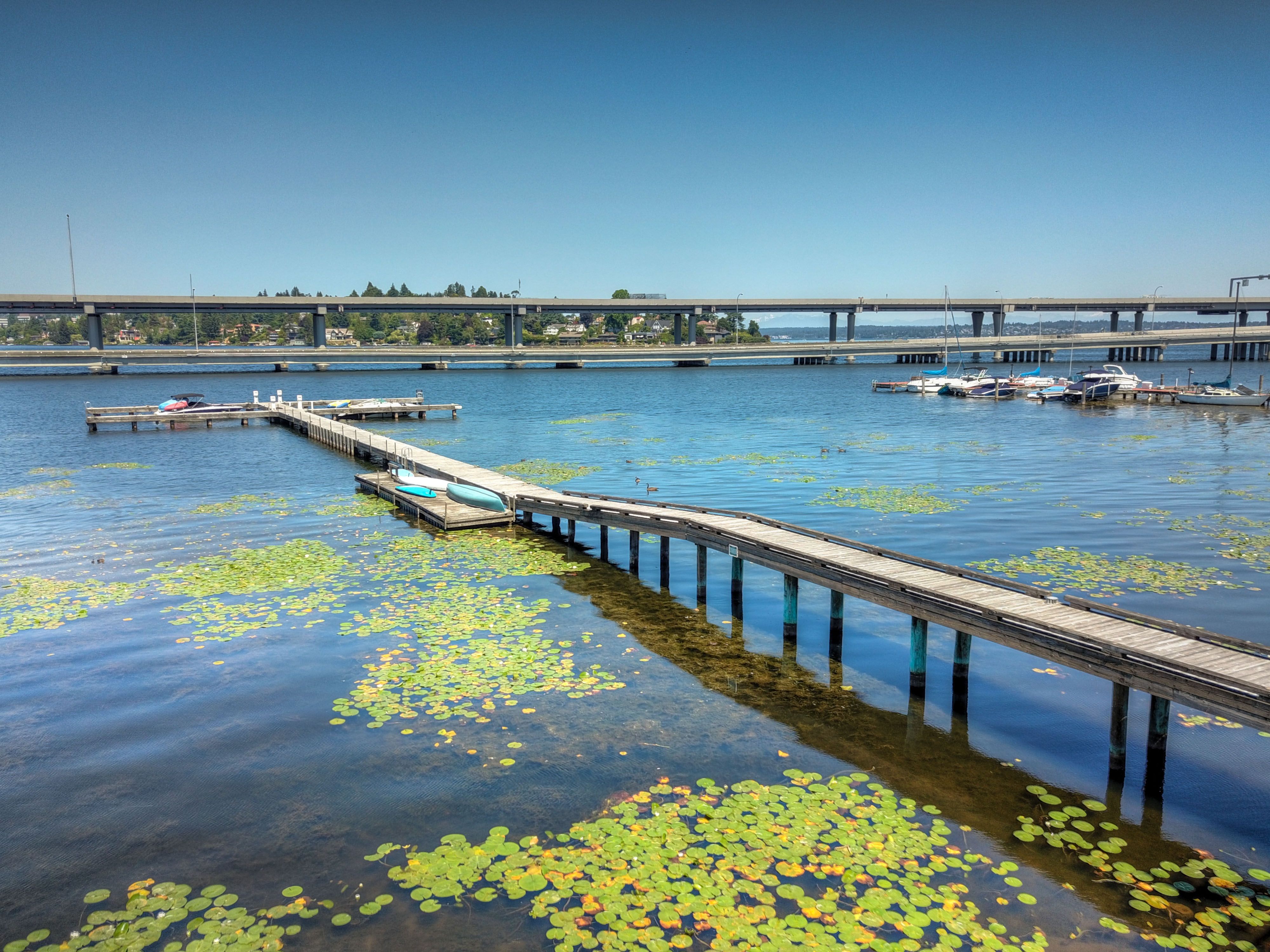  2540 39th Ave E, Seattle, WA 98112 - 物件實景