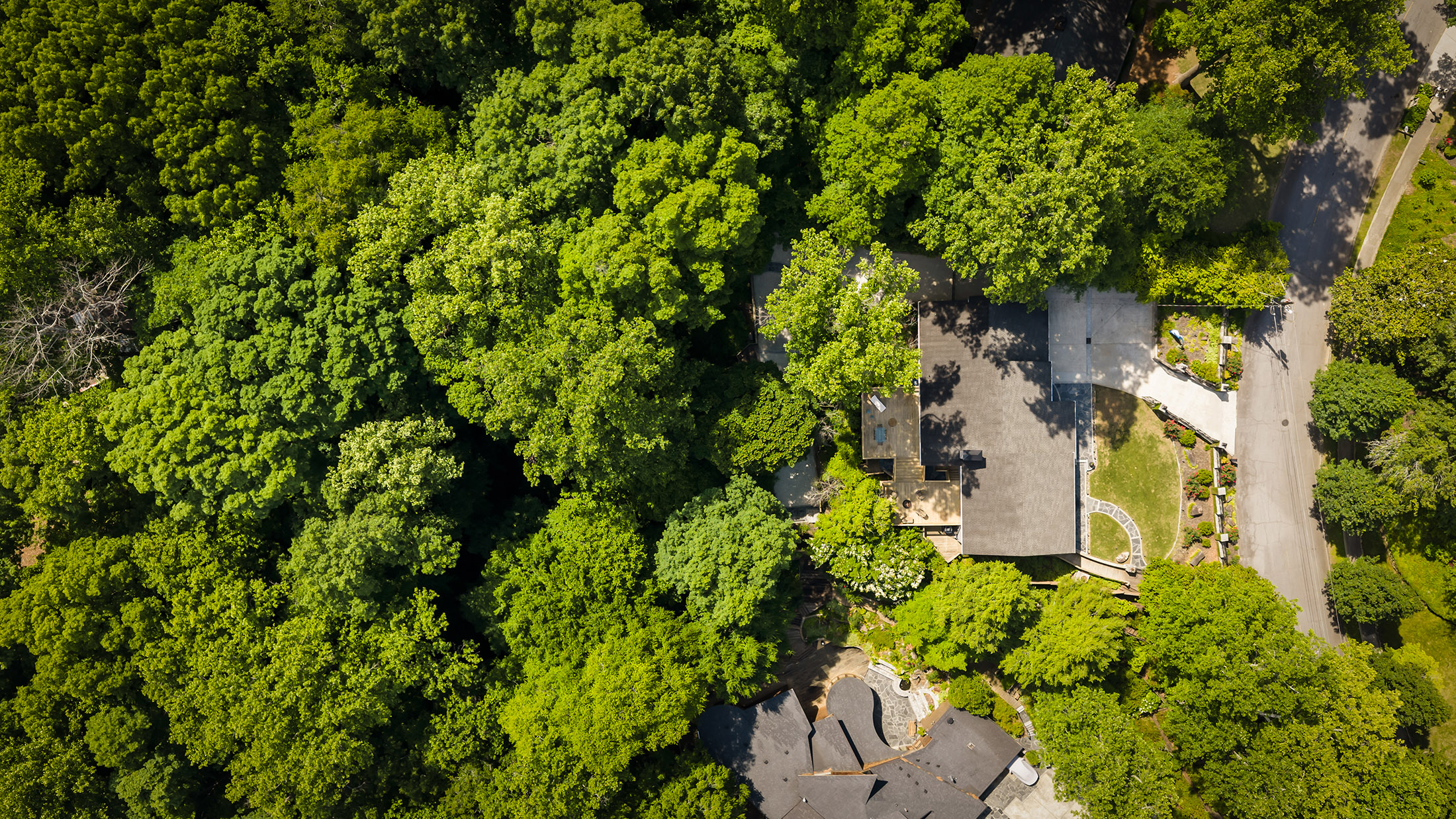  Extensively Renovated Ranch in the Heart of Chastain Park - 物件實景