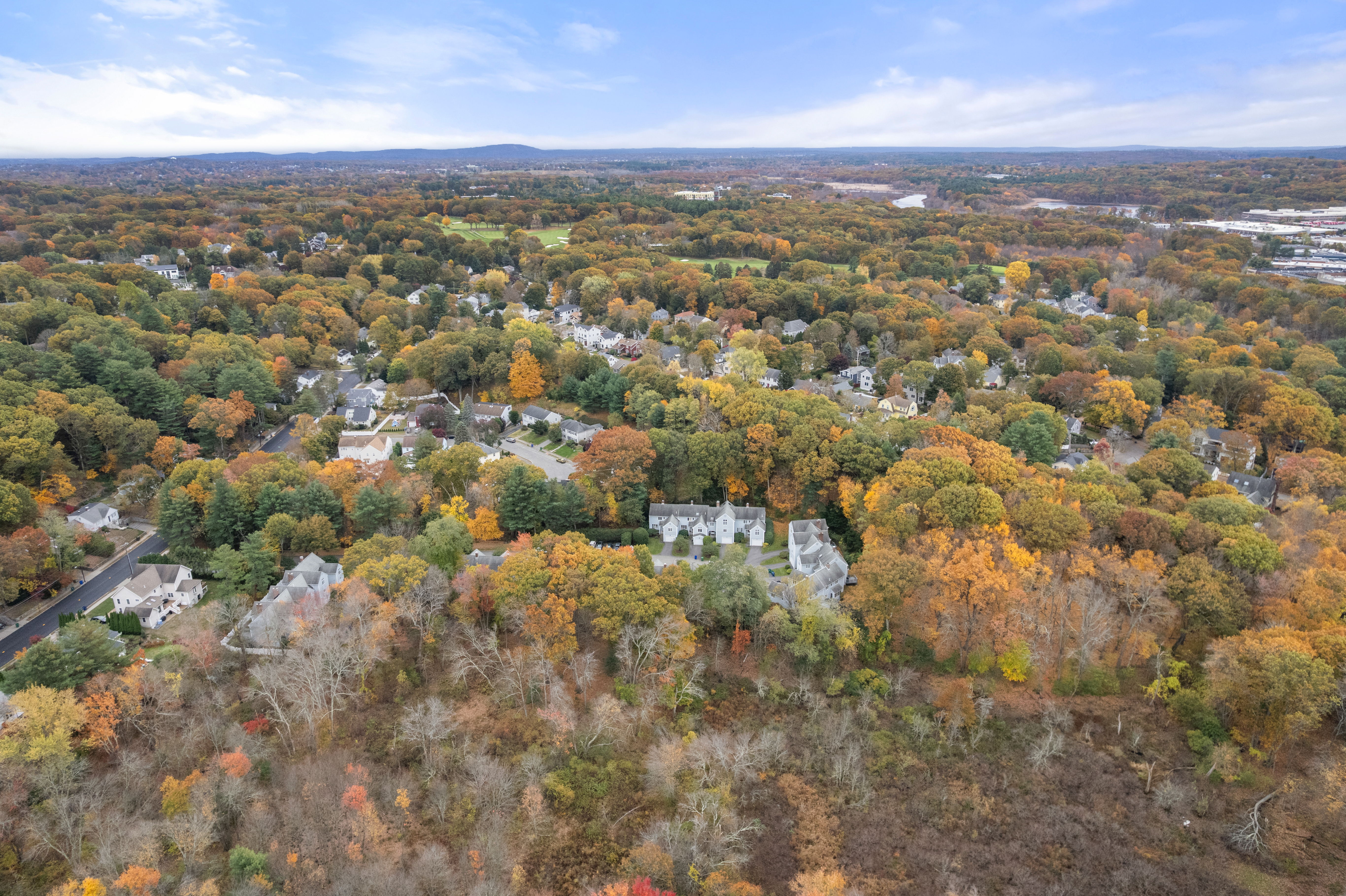  305 Winchester Street, Unit D, Newton, MA, 02461 - 物件實景