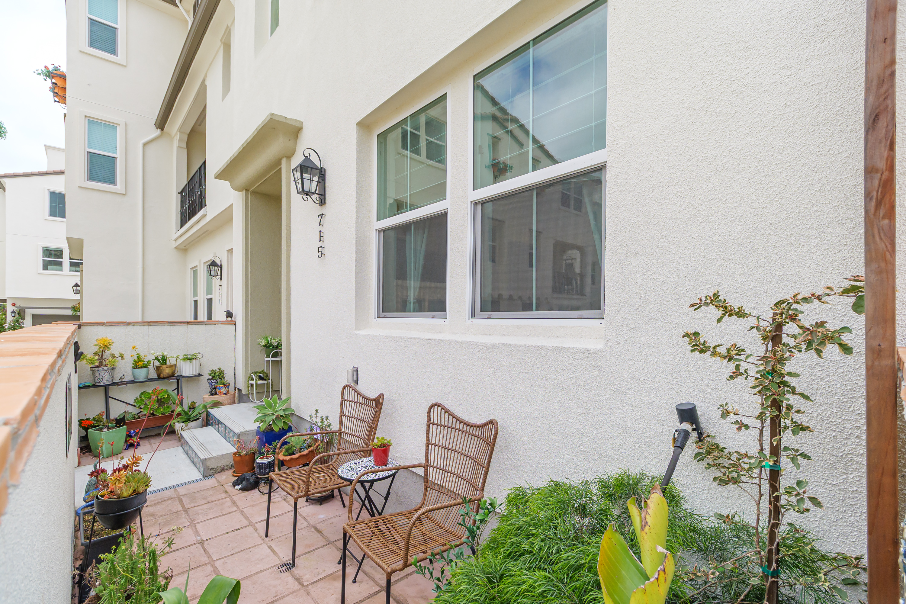  Designer Showcase Home in Novato - 物件實景