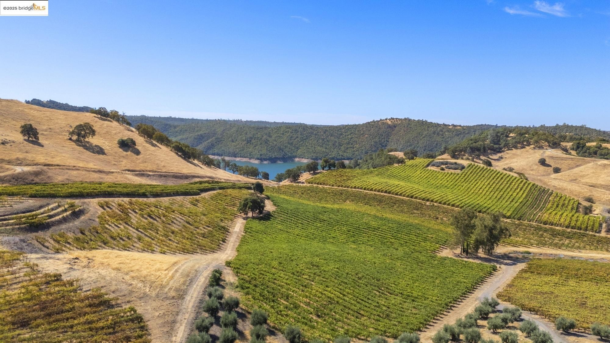 Murphys, California, 95247, United States, ,Land,For Sale,1975931