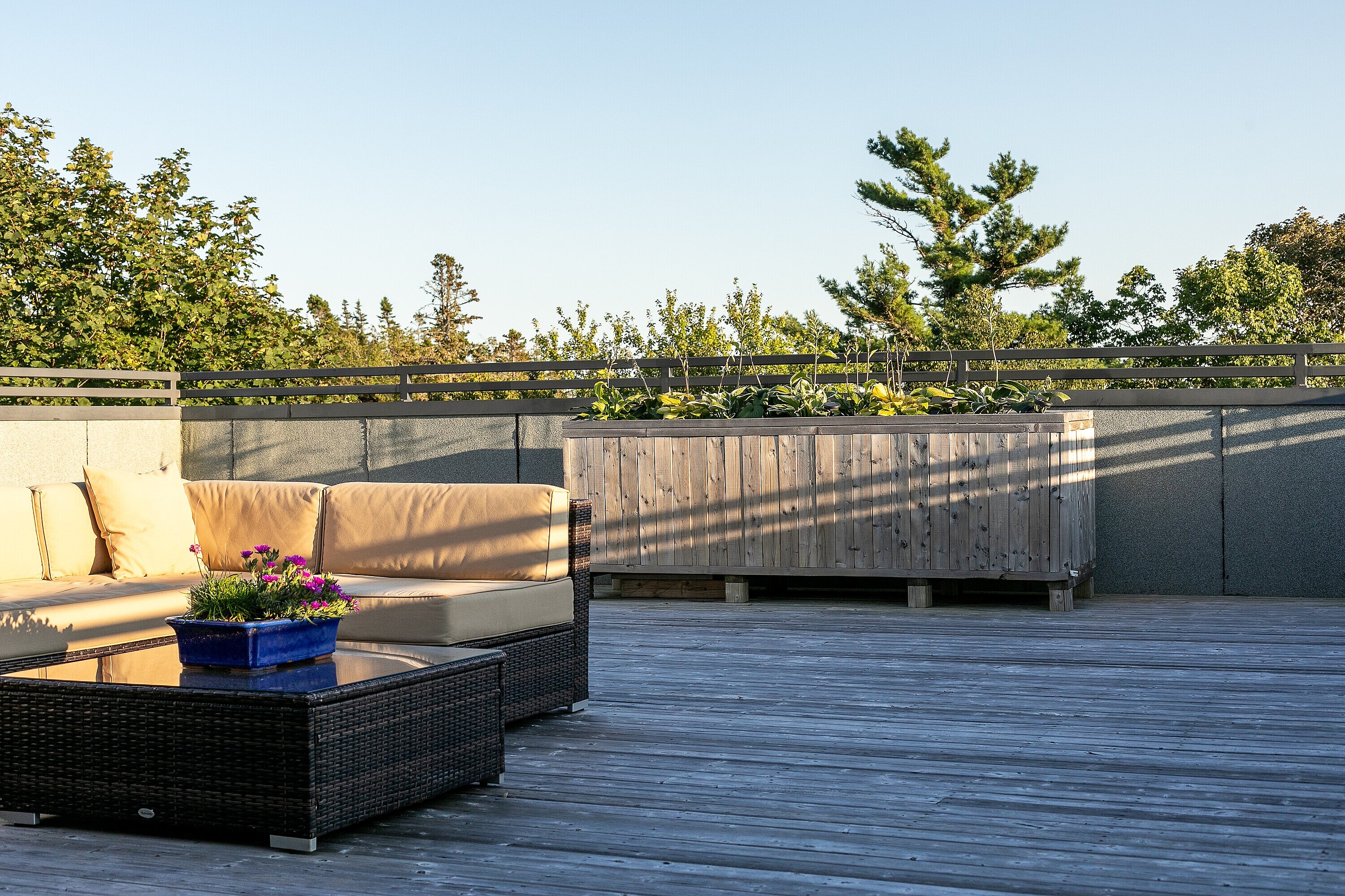  Sleek Modern Designed Home - 物件實景