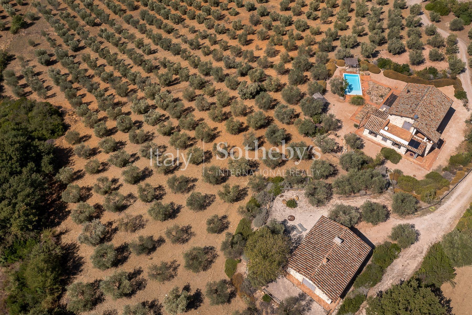  Prestigious Estate in Tuscan Maremma - 物件實景