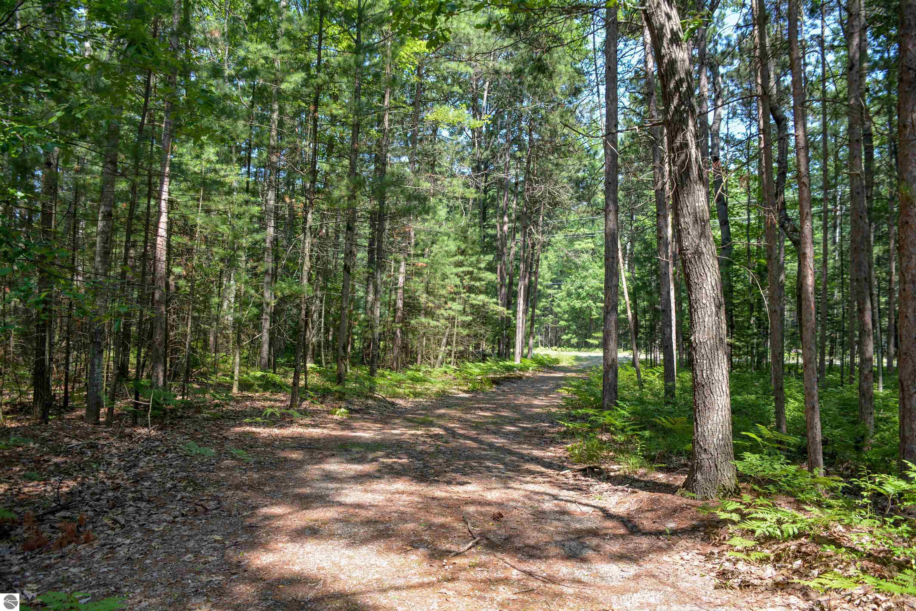 Rapid City, Michigan, 49676, United States, 1 Bedroom Bedrooms, ,Residential,For Sale,1960955