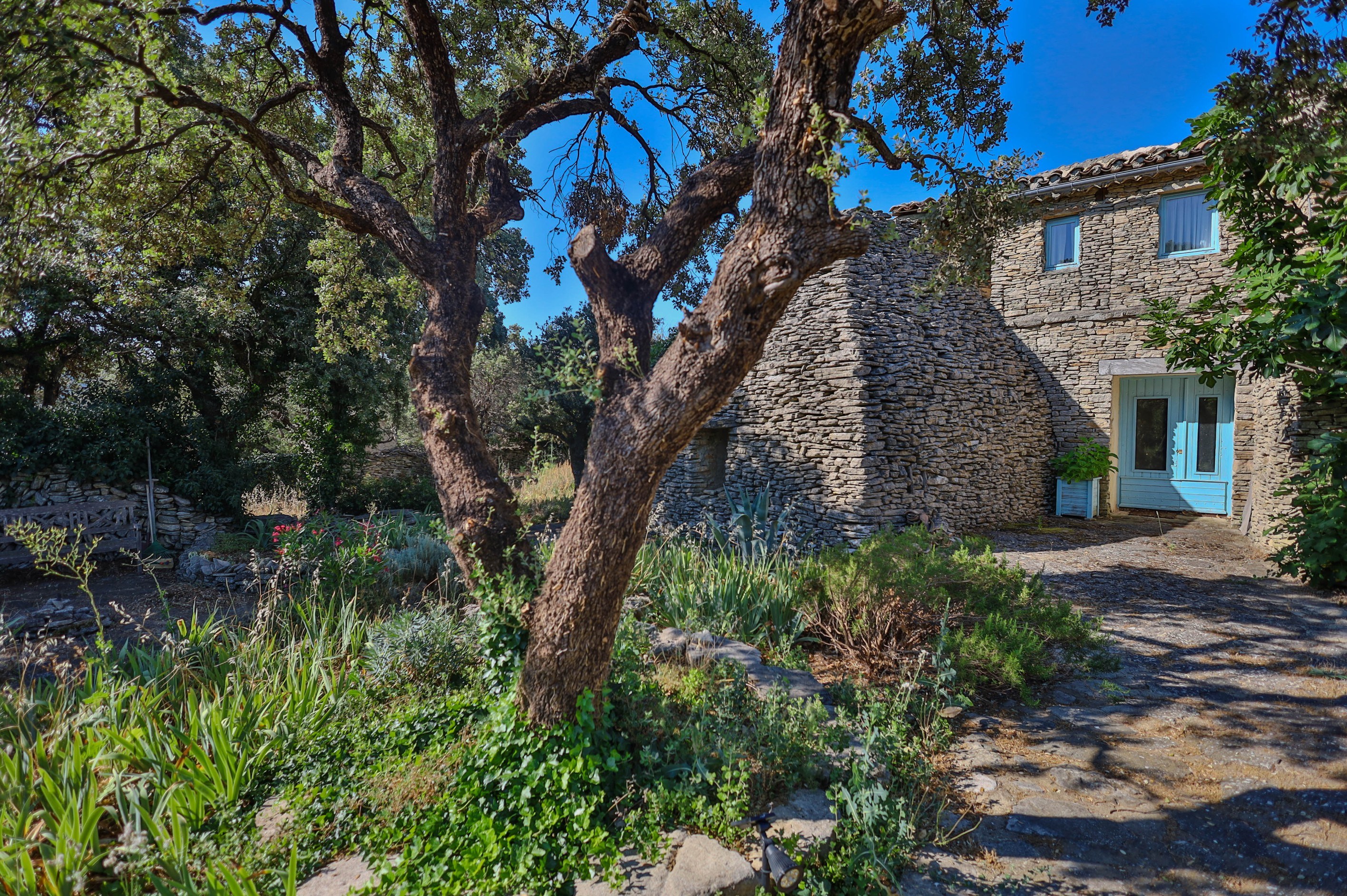 A well being in Provence - 物件實景
