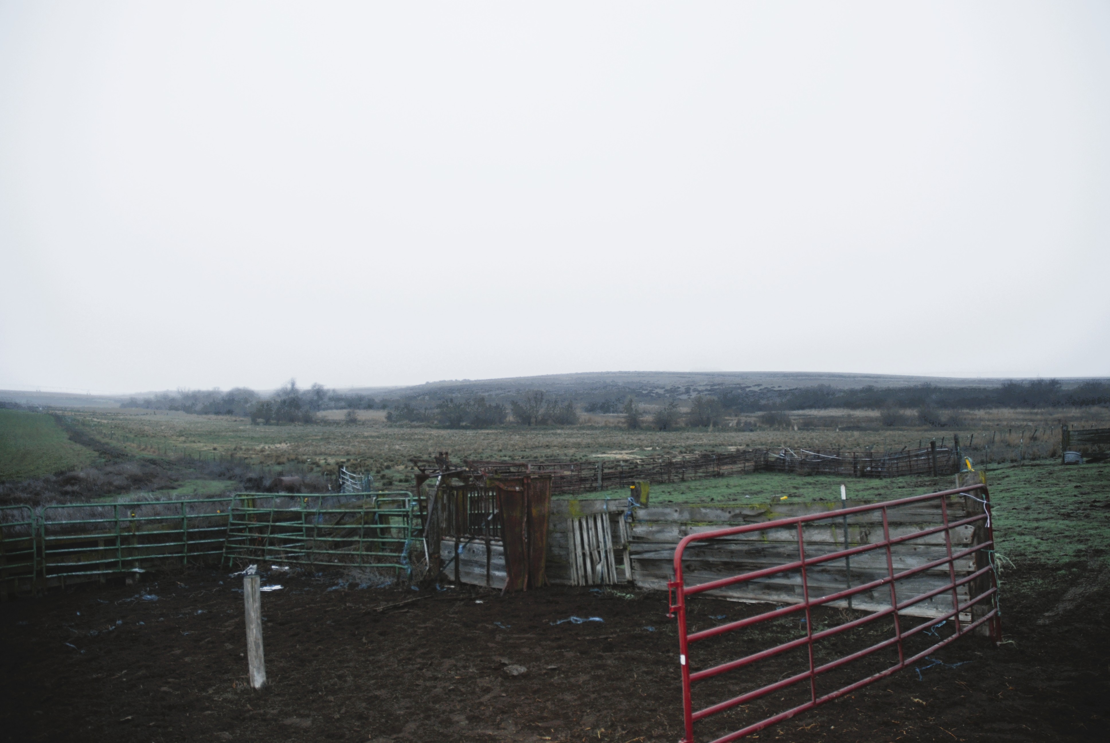 Warden, Washington, 98857, United States, 4 Bedrooms Bedrooms, ,1 BathroomBathrooms,Residential,For Sale,2006383