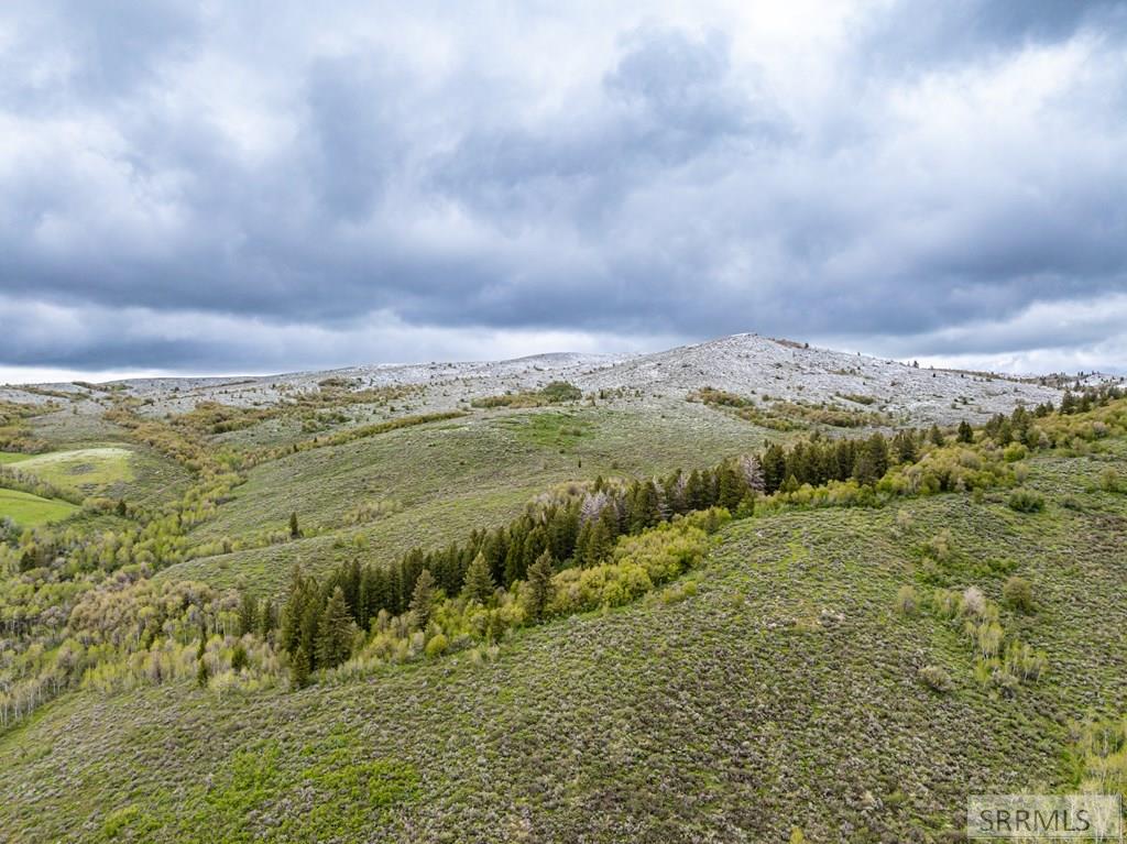 POCATELLO, Idaho, 83201, United States, ,Residential,For Sale,1928703