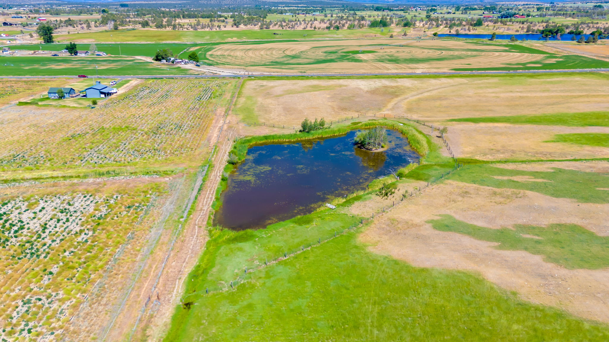 3068SW Reif Rd., Powell Butte, Oregon, 97753, United States, ,4 BathroomsBathrooms,Farm And Agriculture,For Sale,3068SW Reif Rd.,1589447
