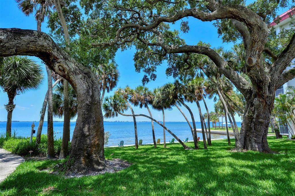 Sarasota, Florida, 34236, United States, 2 Bedrooms Bedrooms, ,2 BathroomsBathrooms,Residential,For Sale,1866330