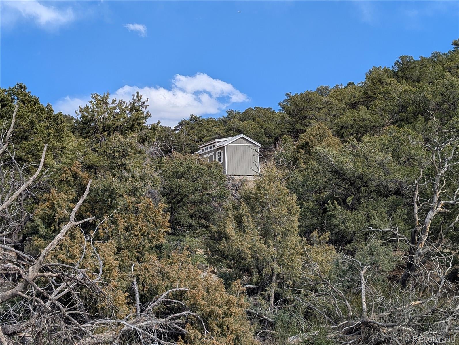 Buena Vista, Colorado, 81211, United States, ,Land,For Sale,1979562