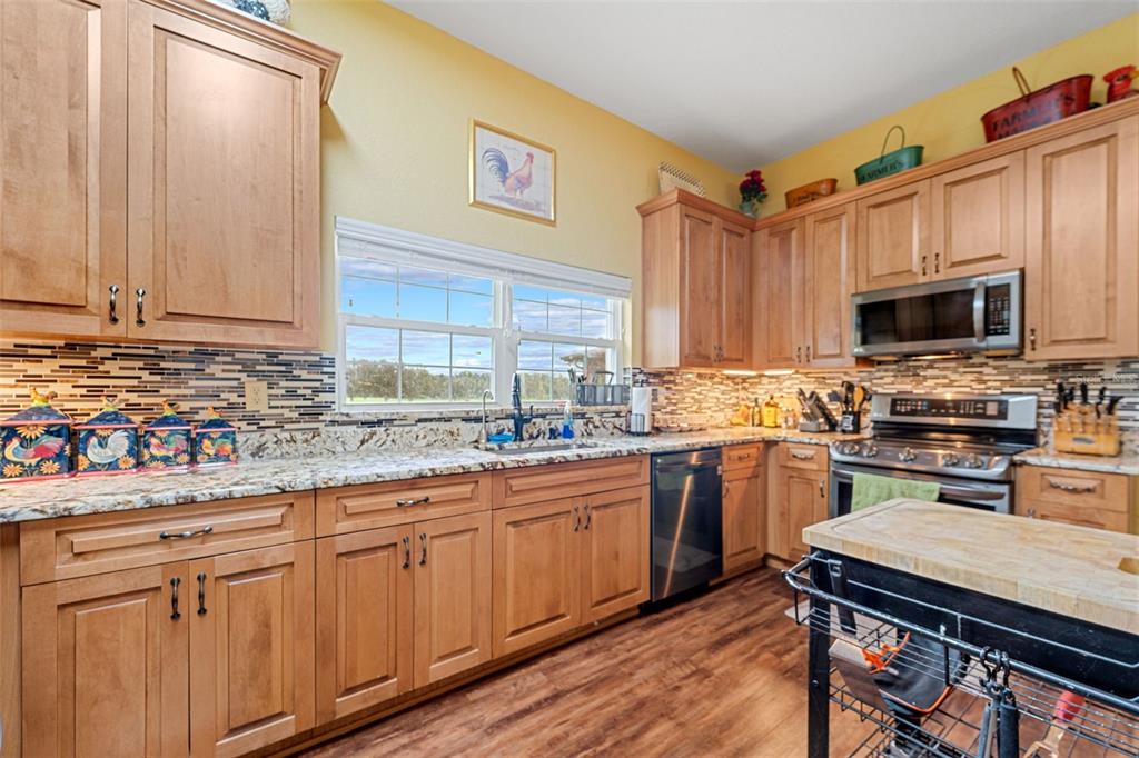 Brooksville, Florida, 34614, United States, 4 Bedrooms Bedrooms, ,4 BathroomsBathrooms,Residential,For Sale,1977794