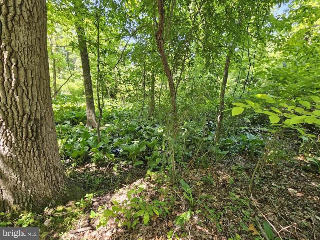 Yardley, Pennsylvania, 19067, United States, ,Land,For Sale,1858190
