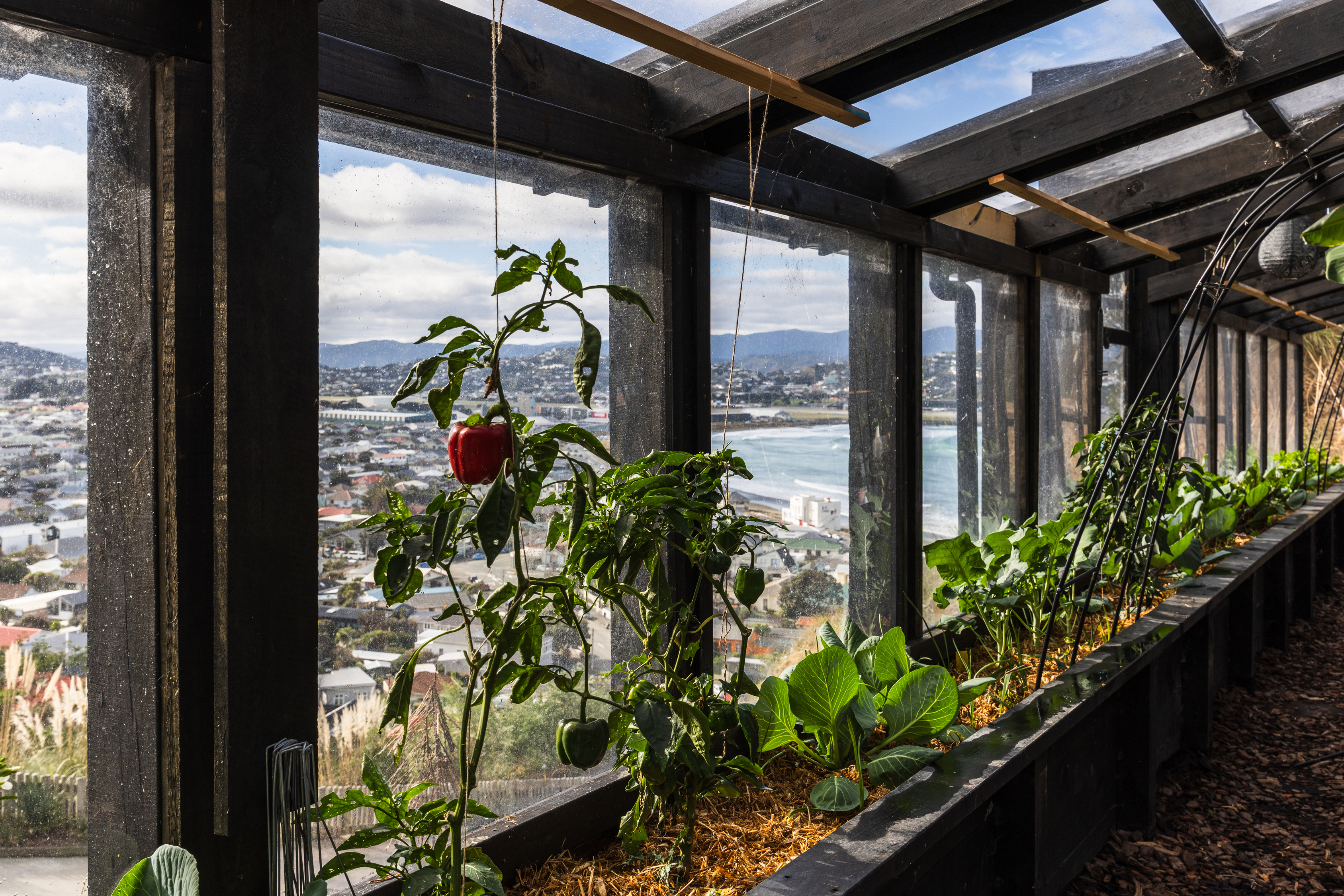  212 Sutherland Road, Lyall Bay - 物件實景