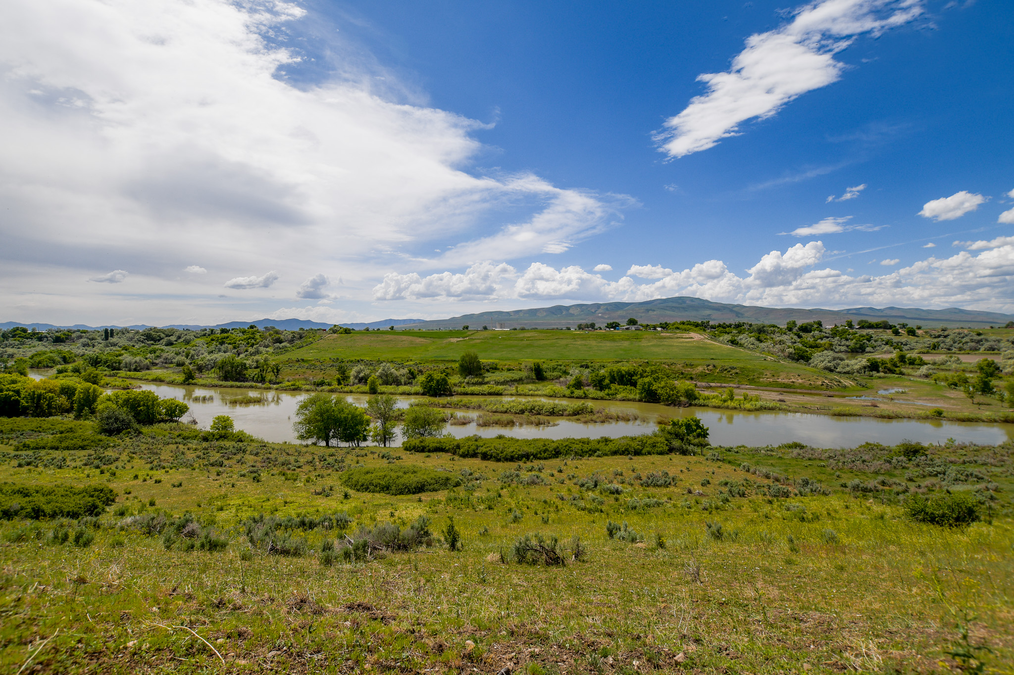 Deweyville, Utah, 84309, United States, ,Land,For Sale,1848401