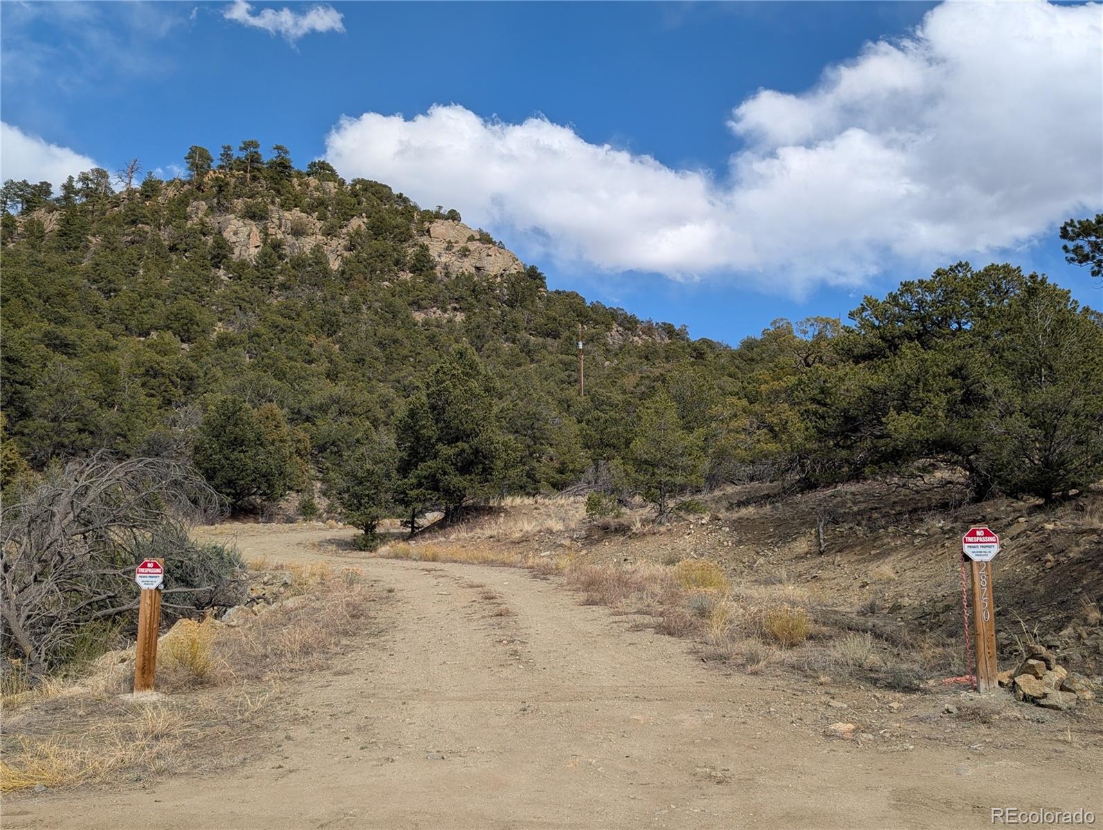 Buena Vista, Colorado, 81211, United States, ,Land,For Sale,1979562