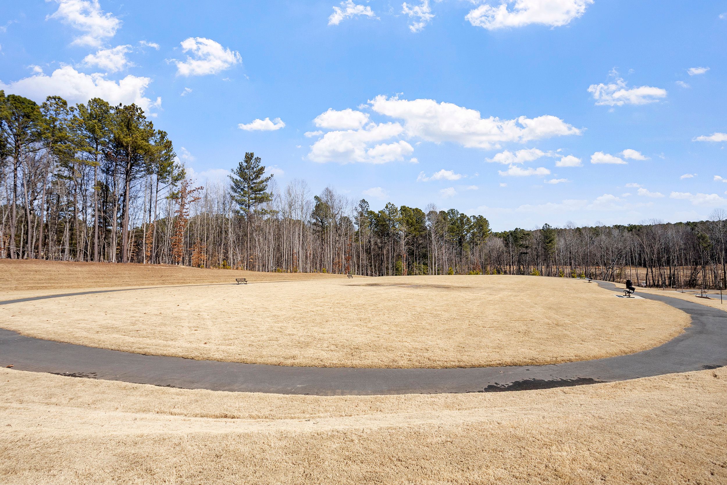 156 Sweet Lilac Way, Raleigh, NC 27610 - 物件實景