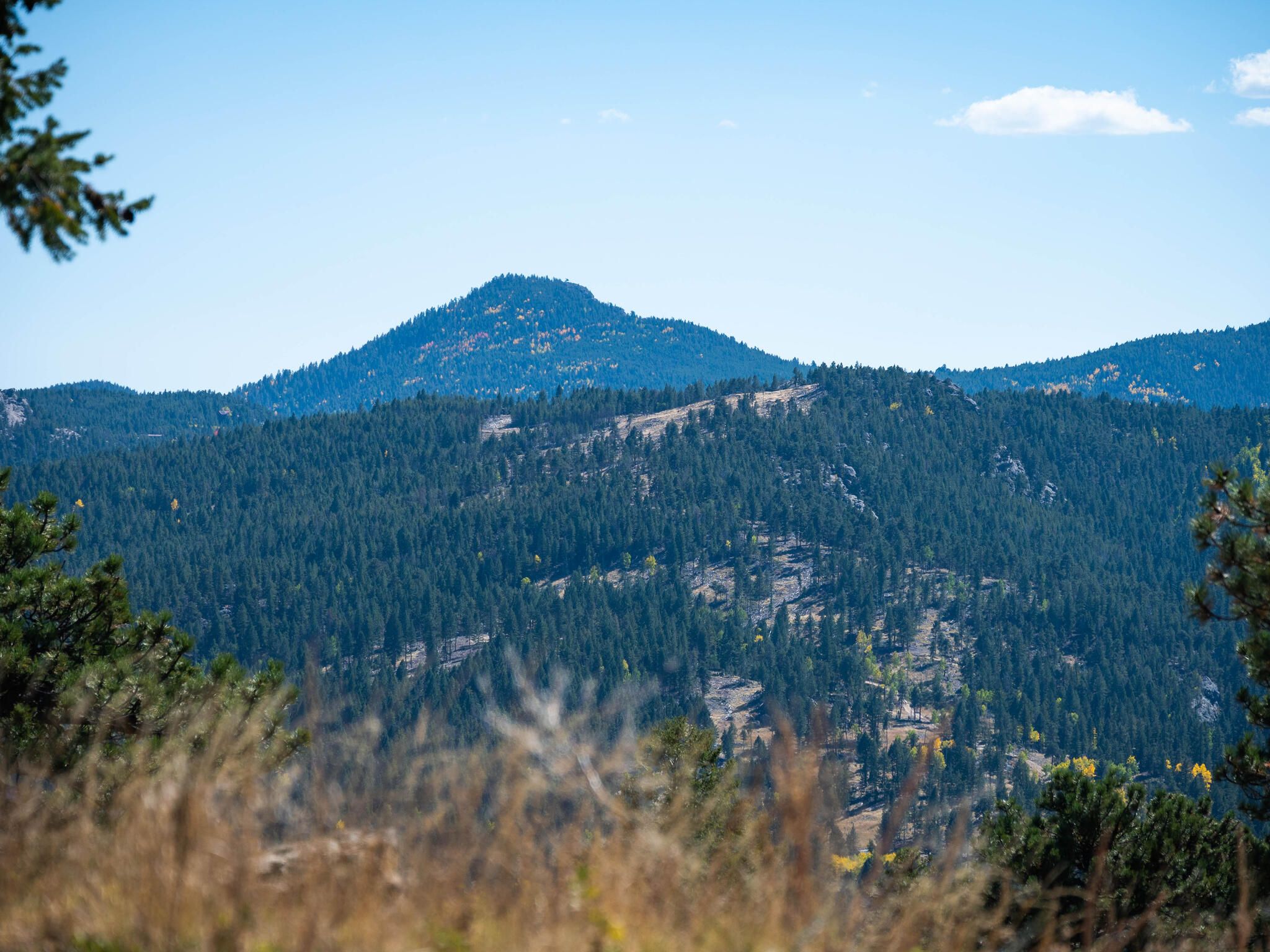  Acreage Available in Evergreen