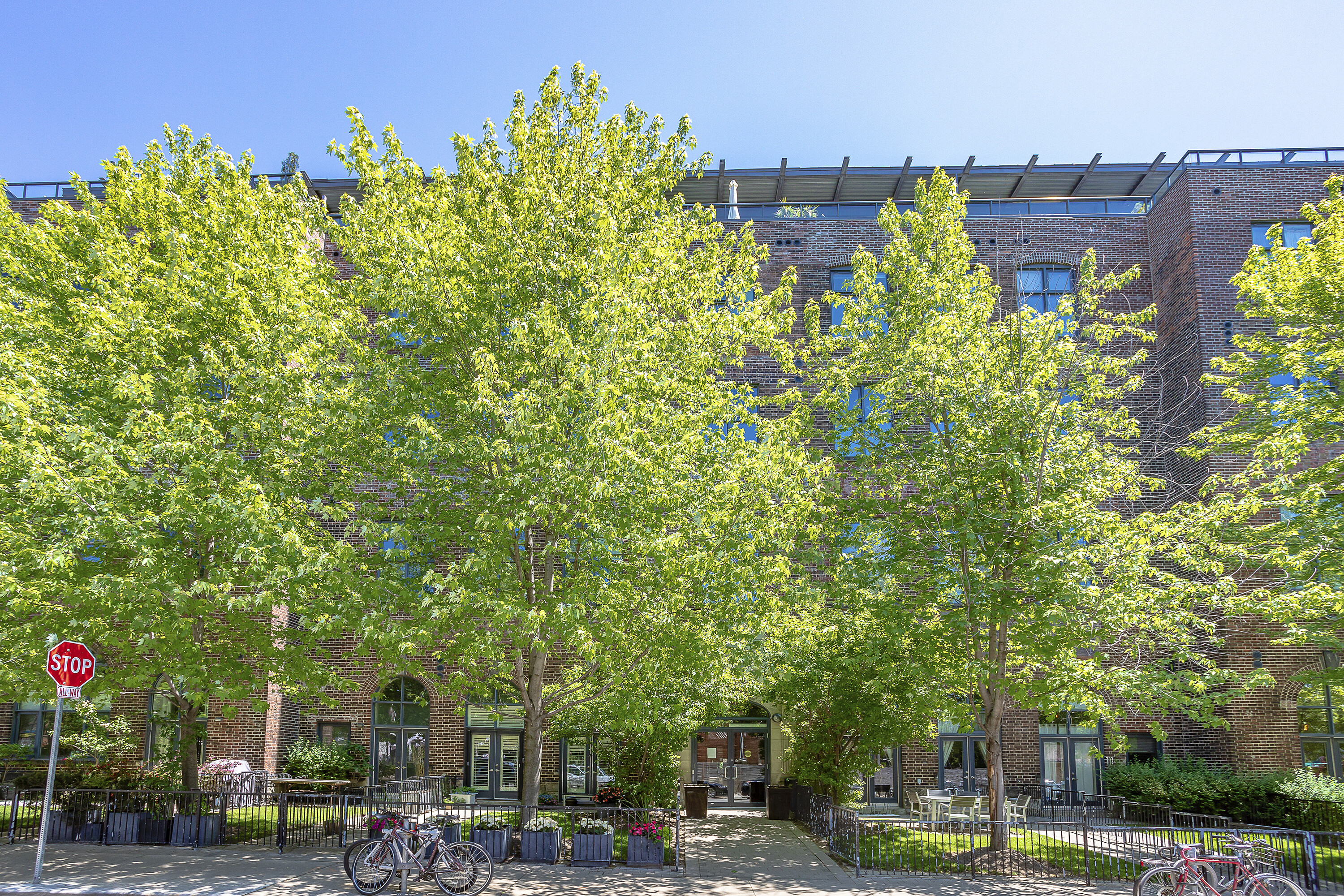  The Robert Watson Lofts - 物件實景