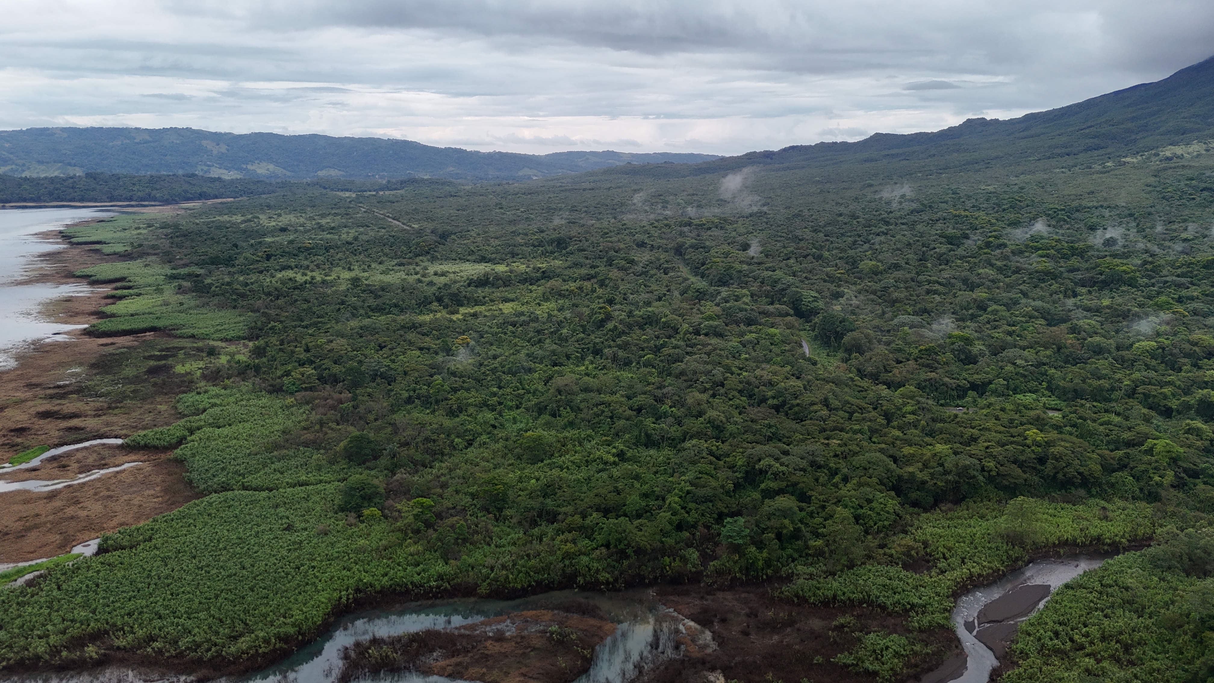 La Fortuna, Alajuela, CR, ,Land,For Sale,1828569