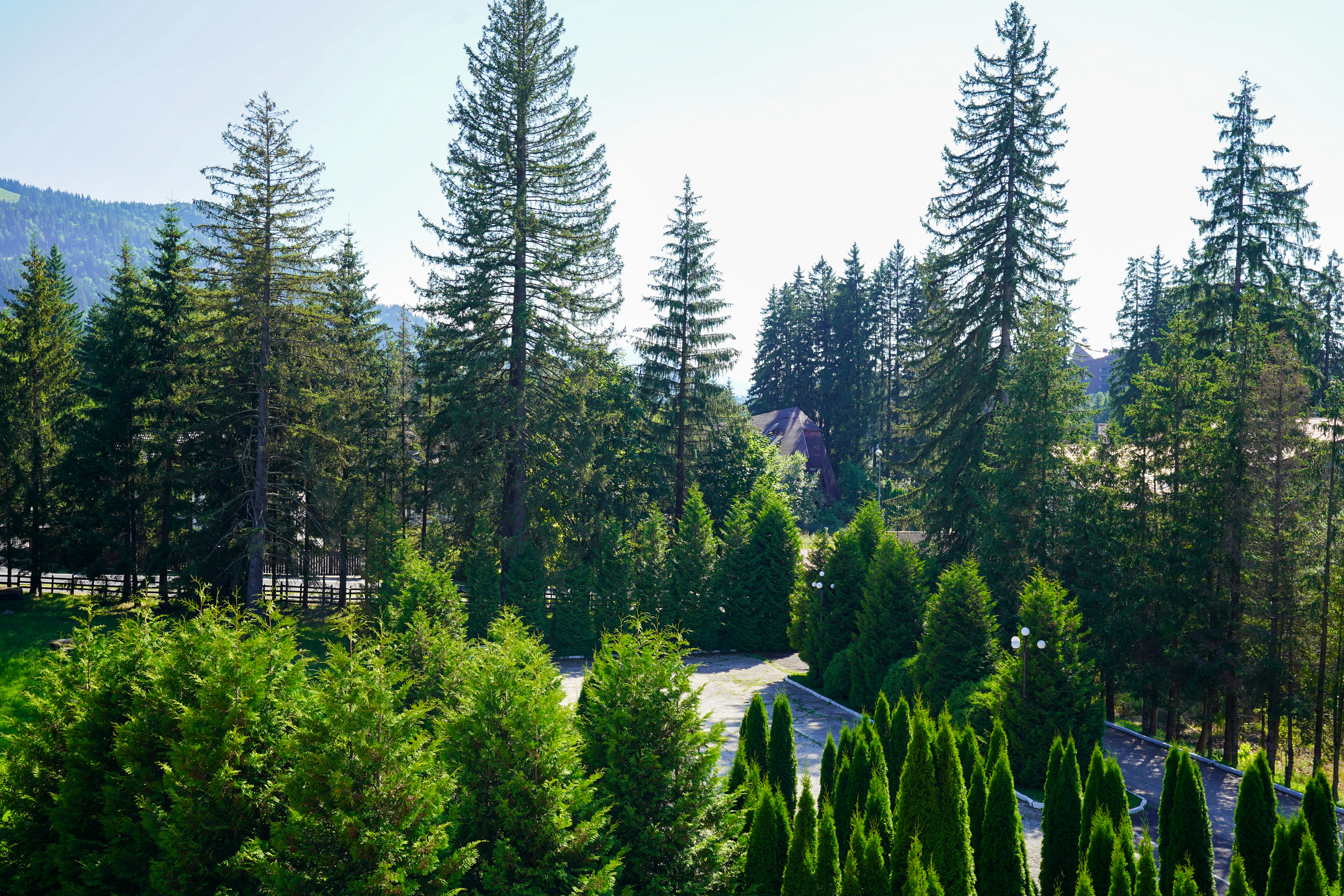  Hotel Miraj – 4-Star Hotel in the Heart of the Poiana Braov Mountain Resort - 物件實景