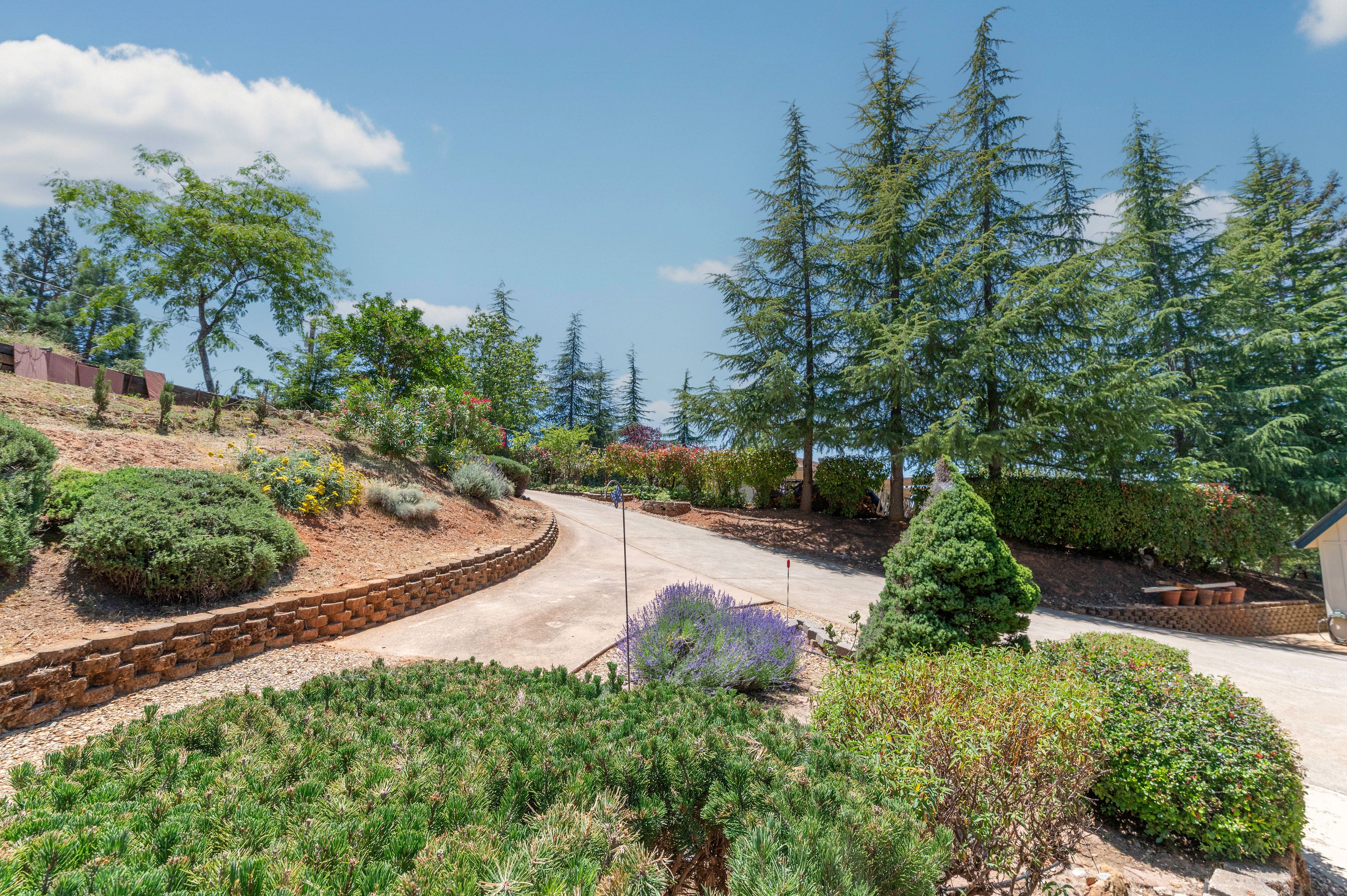  14110 Steven Lane, Pine Grove, CA 95665 - 物件實景