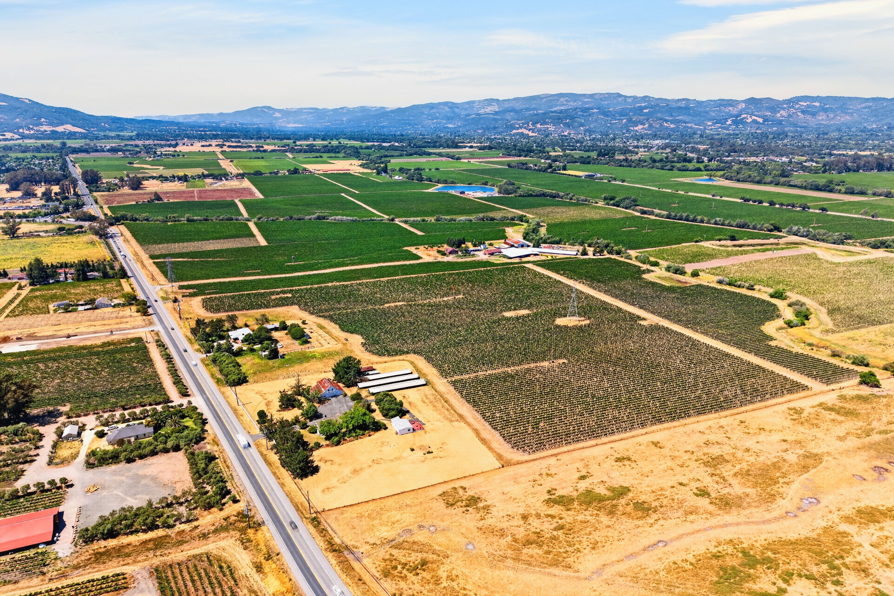  Sonoma Valley Vineyard Estate - 物件實景