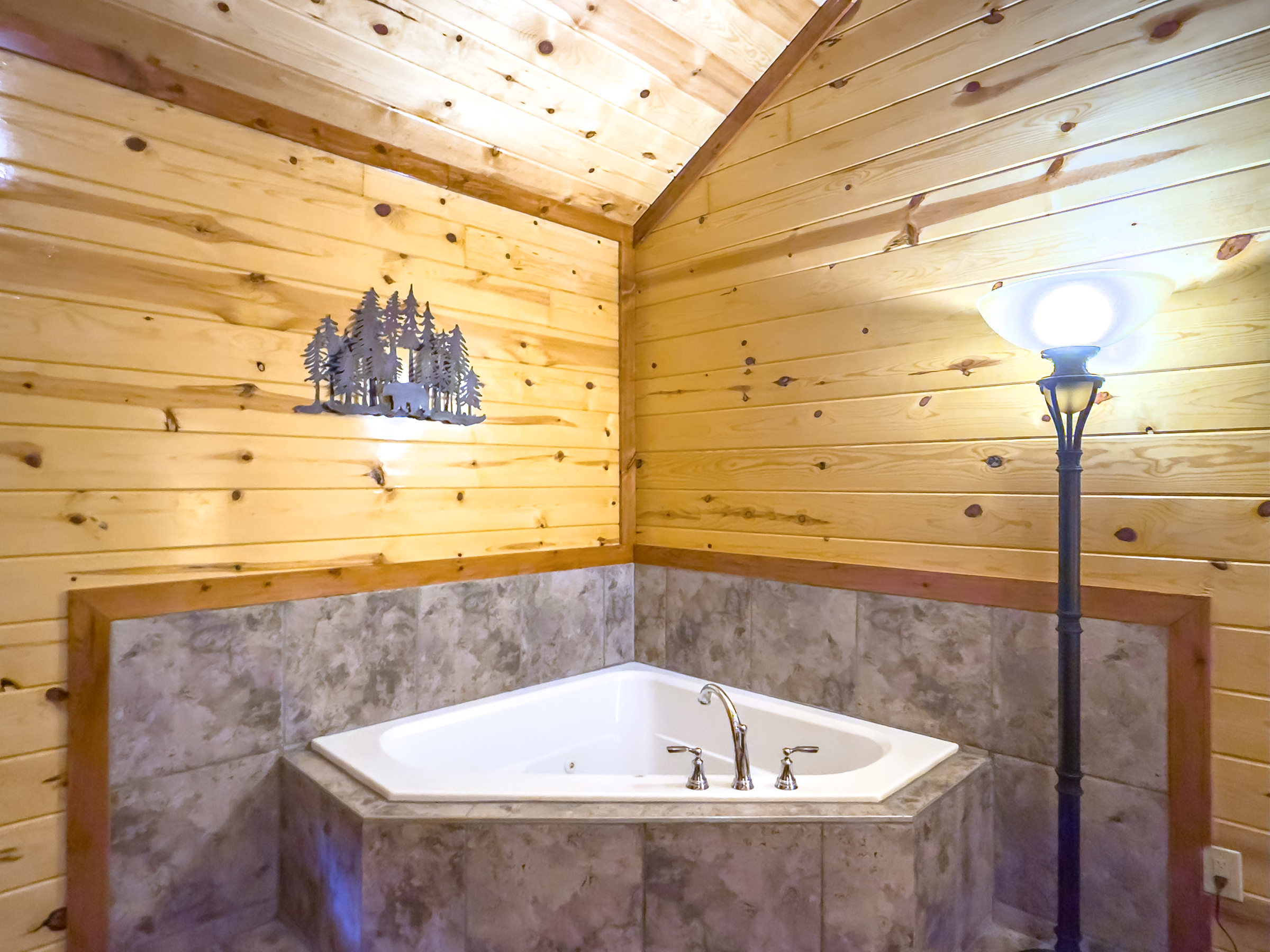 Sevierville, Tennessee, 37862, United States, 6 Bedrooms Bedrooms, ,7 BathroomsBathrooms,Residential,For Sale,1798299