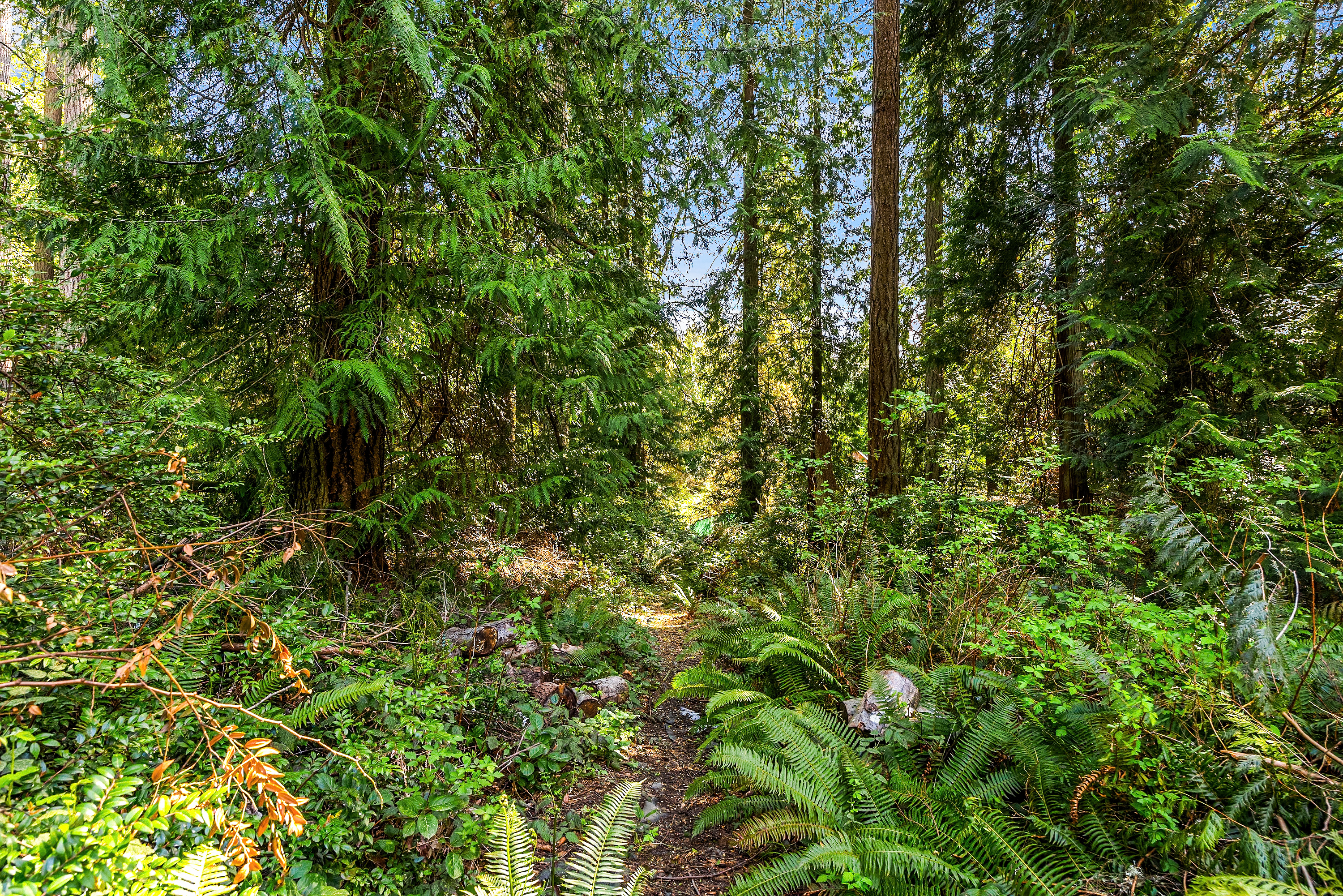  14340 Shasta Lane NE, Bainbridge Island, WA, 98110 - 物件實景