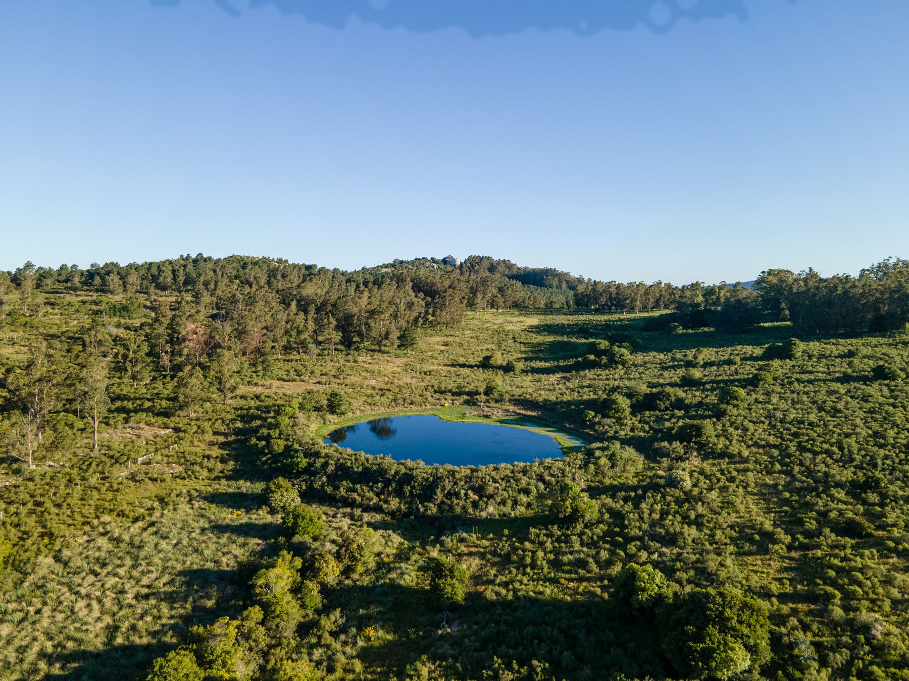  196 ha in Laguna del Sauce - 物件實景