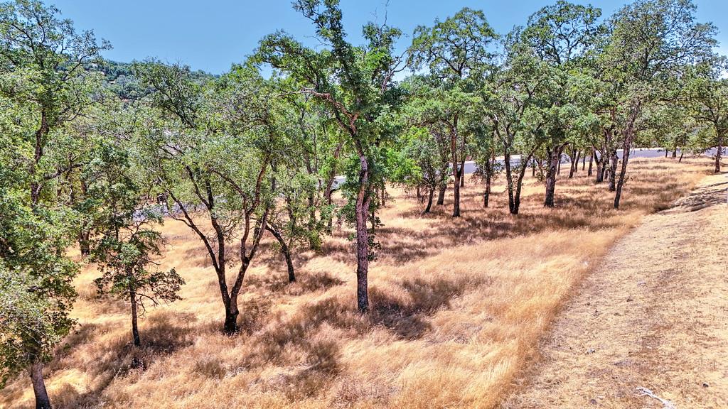 El Dorado Hills, California, 95762, United States, ,Land,For Sale,1874458