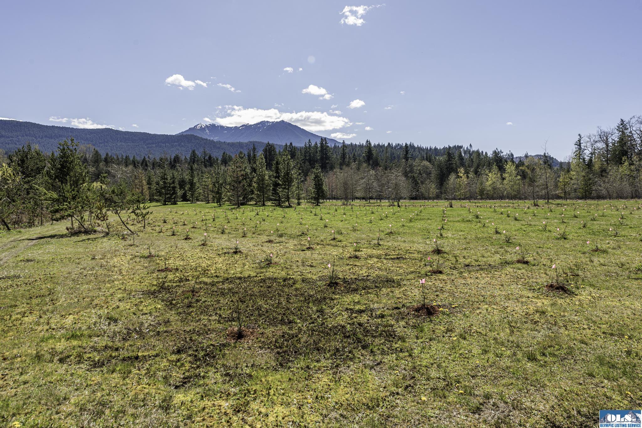 Sequim, Washington, 98382, United States, ,Land,For Sale,1787569