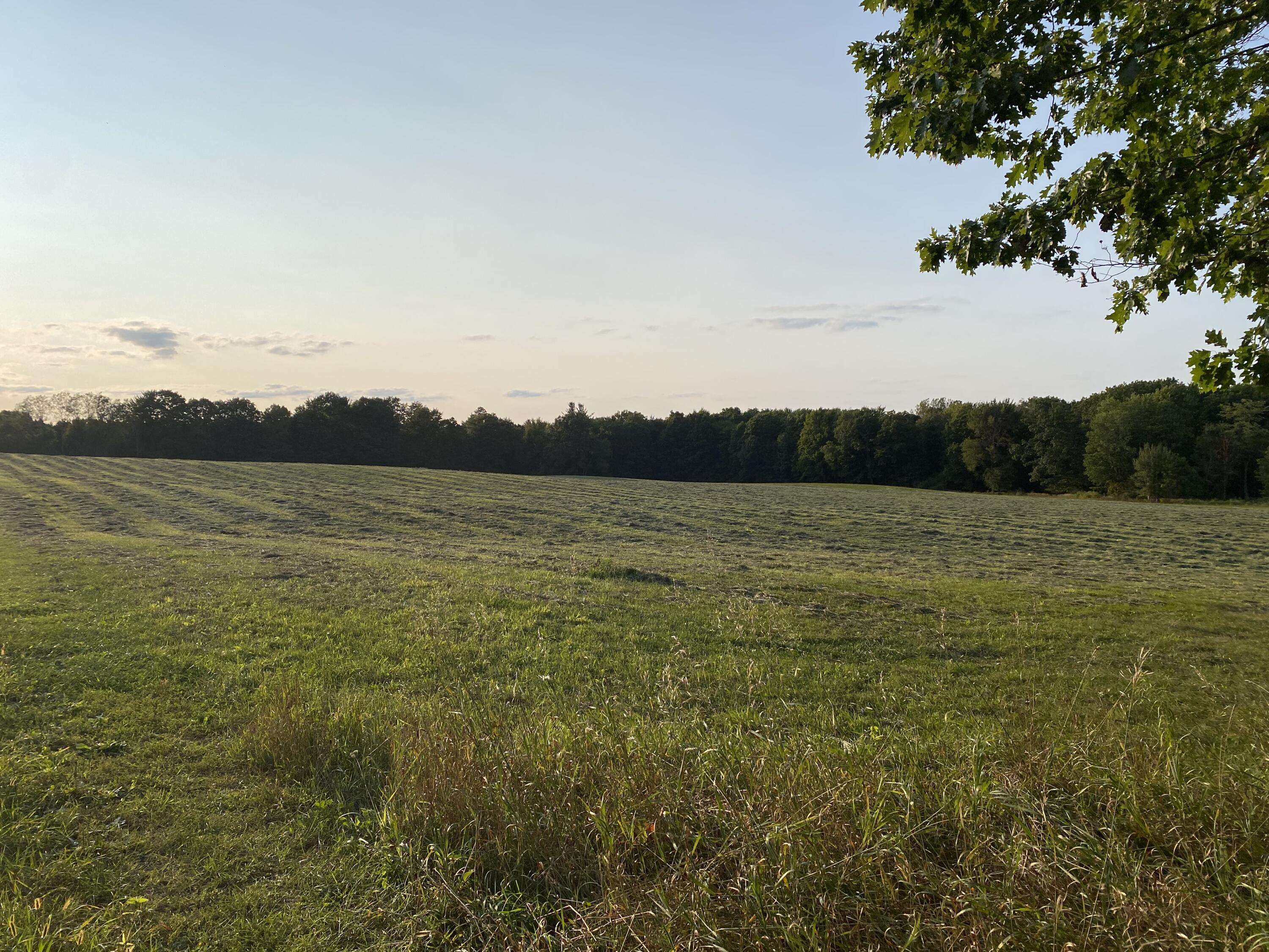 Lakeview, Michigan, 48850, United States, ,Land,For Sale,1942163