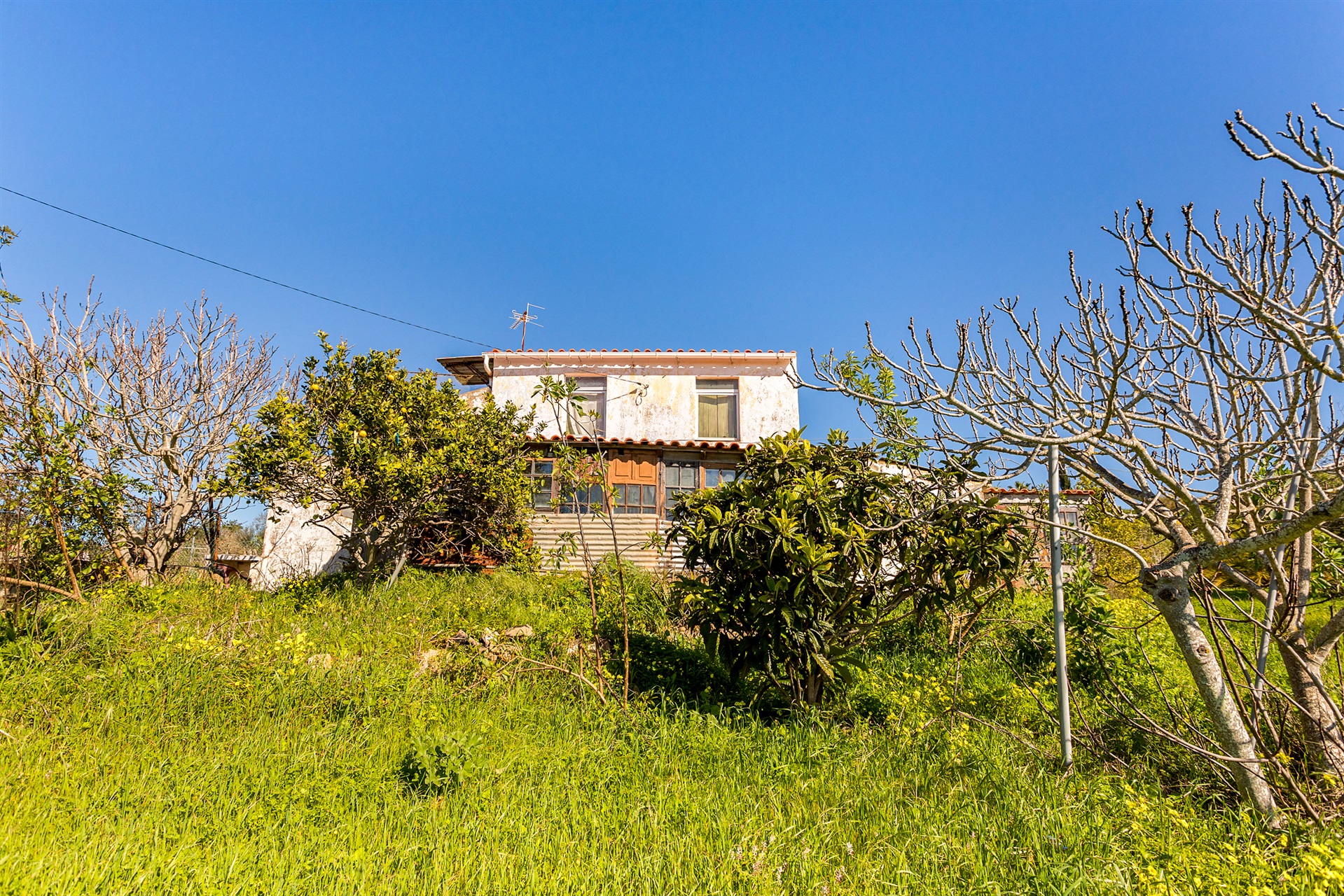  House for Sale - 物件實景
