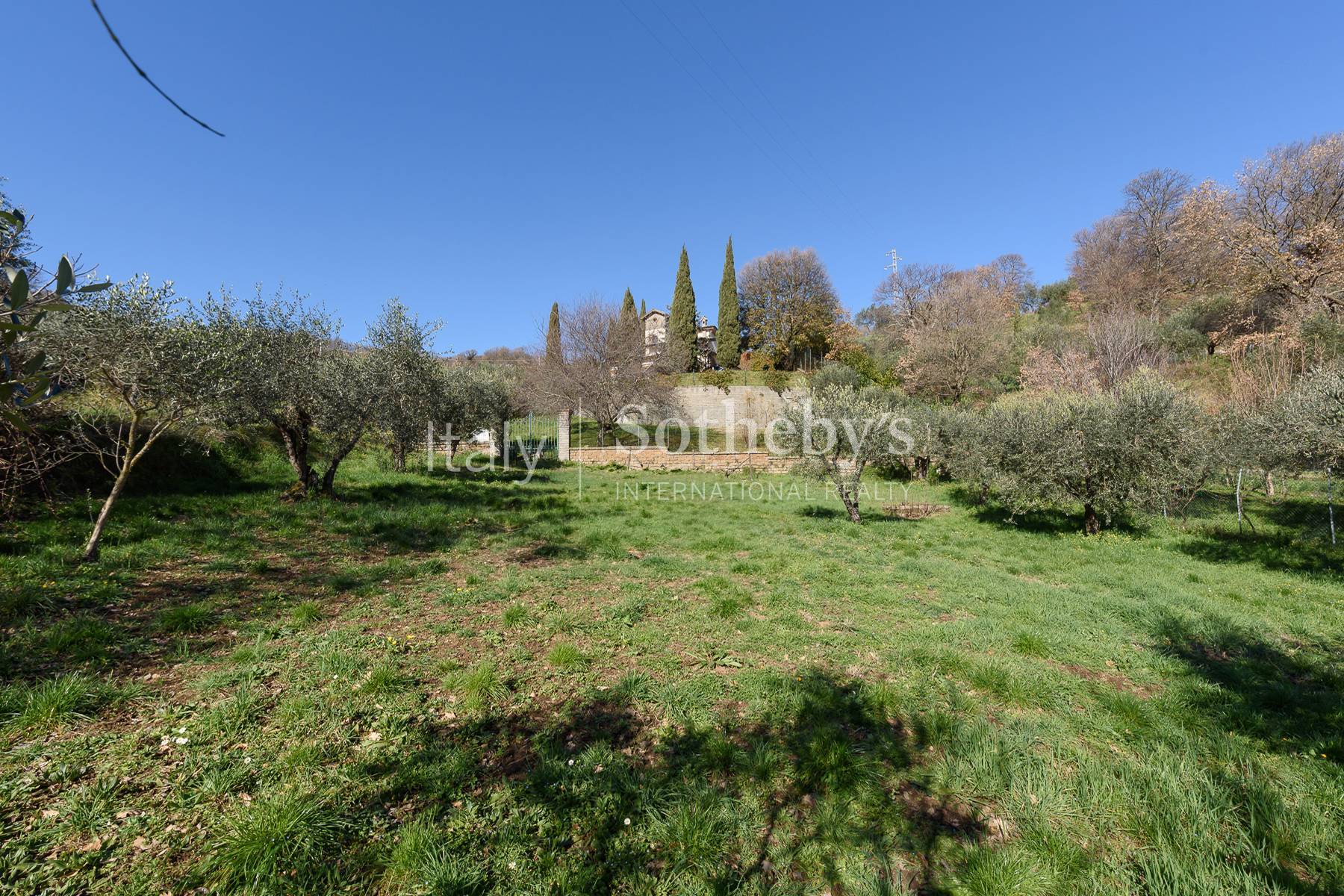  Splendid villa nestled in the hills of Tuscia - 物件實景