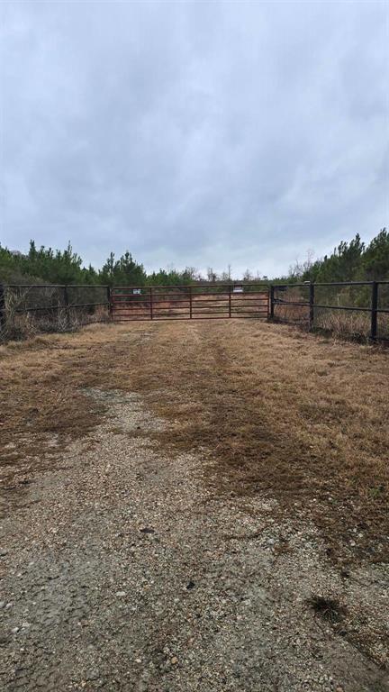 Huntington, Texas, 75949, United States, ,Land,For Sale,1785259