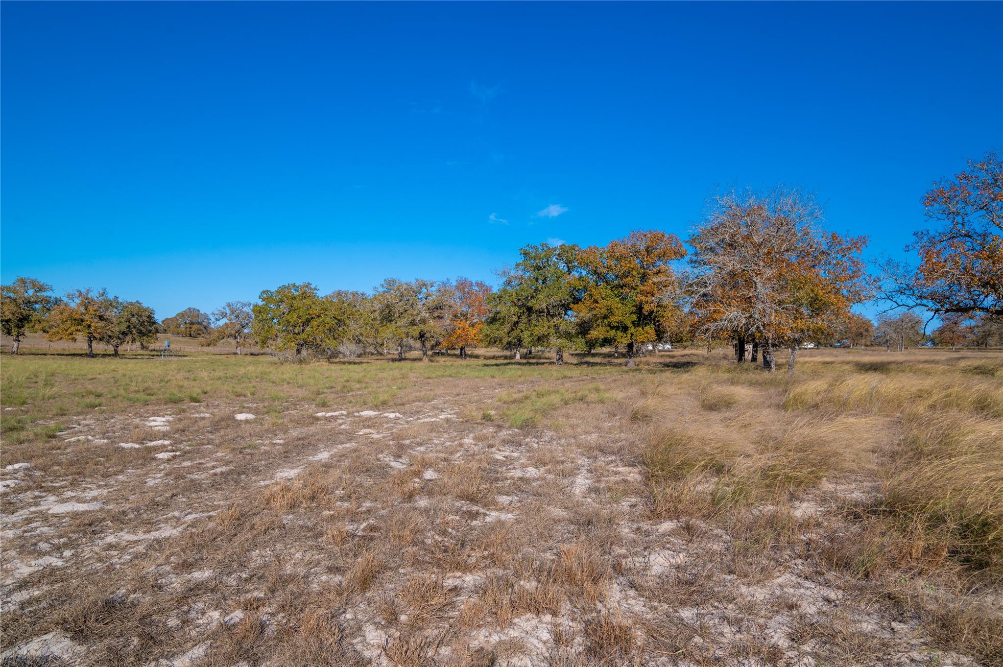 Stockdale, Texas, 78160, United States, 1 Bedroom Bedrooms, ,1 BathroomBathrooms,Residential,For Sale,1937529