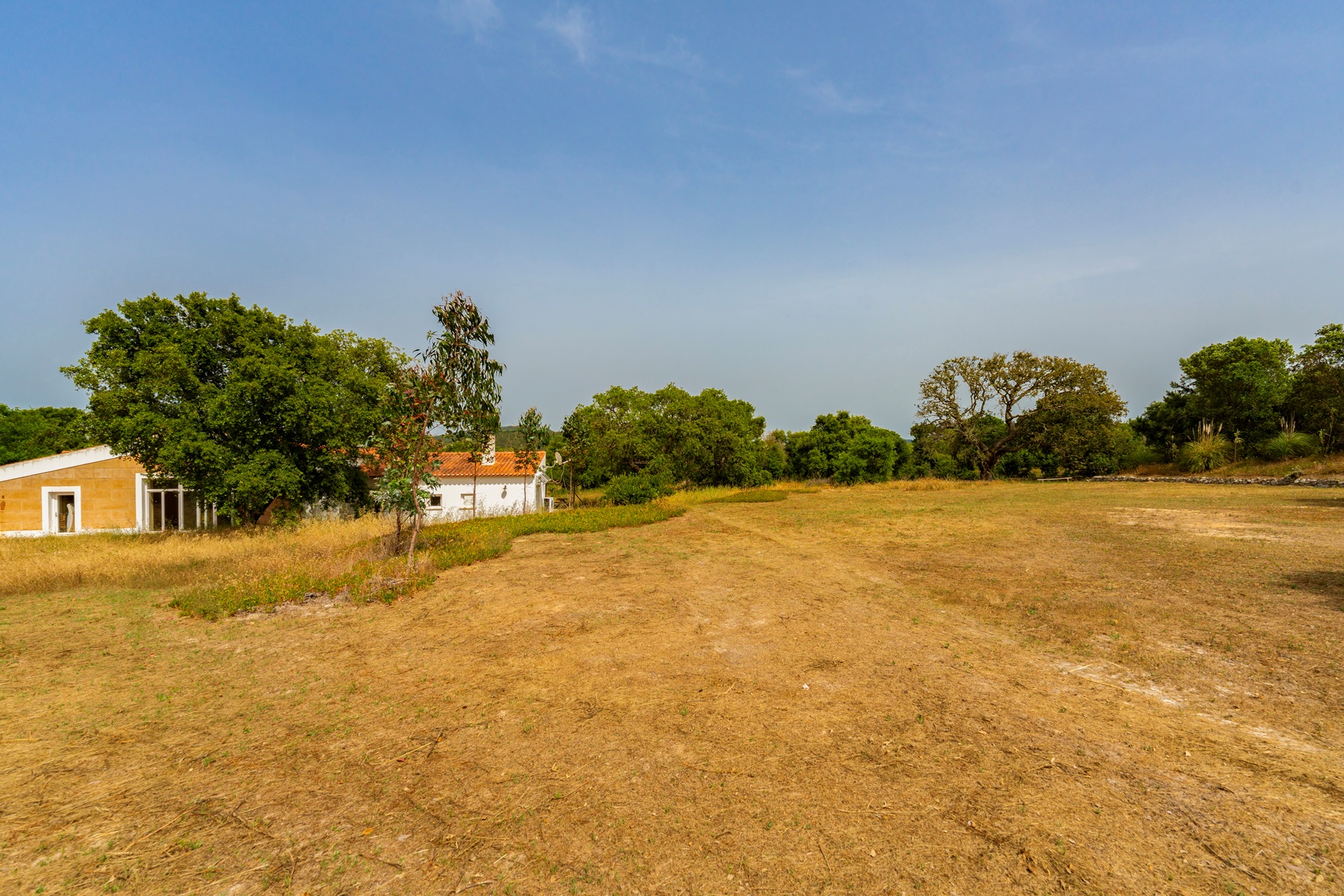  Farm, 7 bedrooms, for Sale - 物件實景