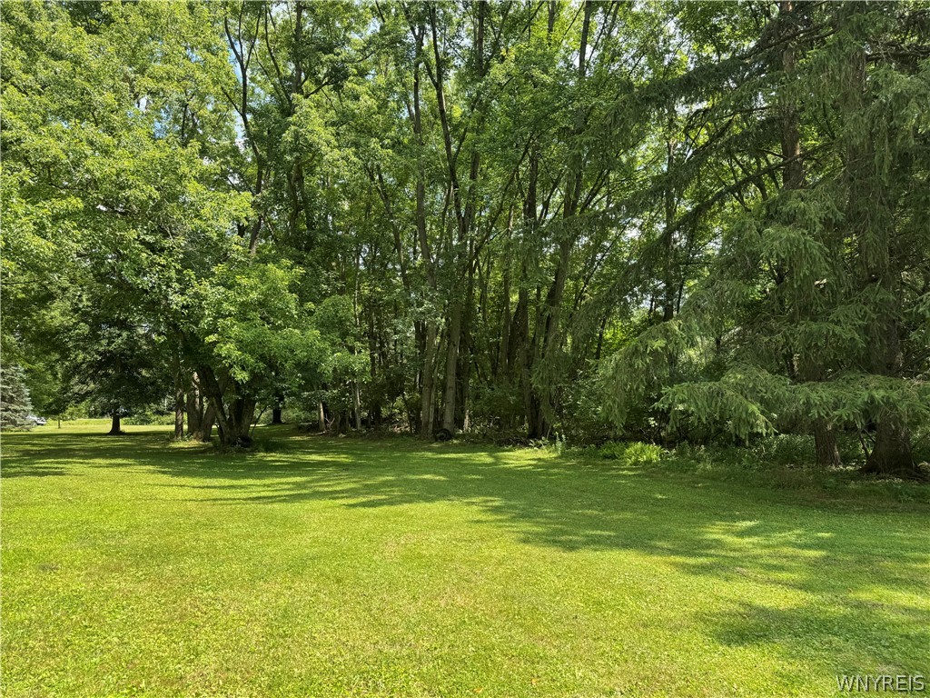 Pine St, Portville, NY 14770 #1