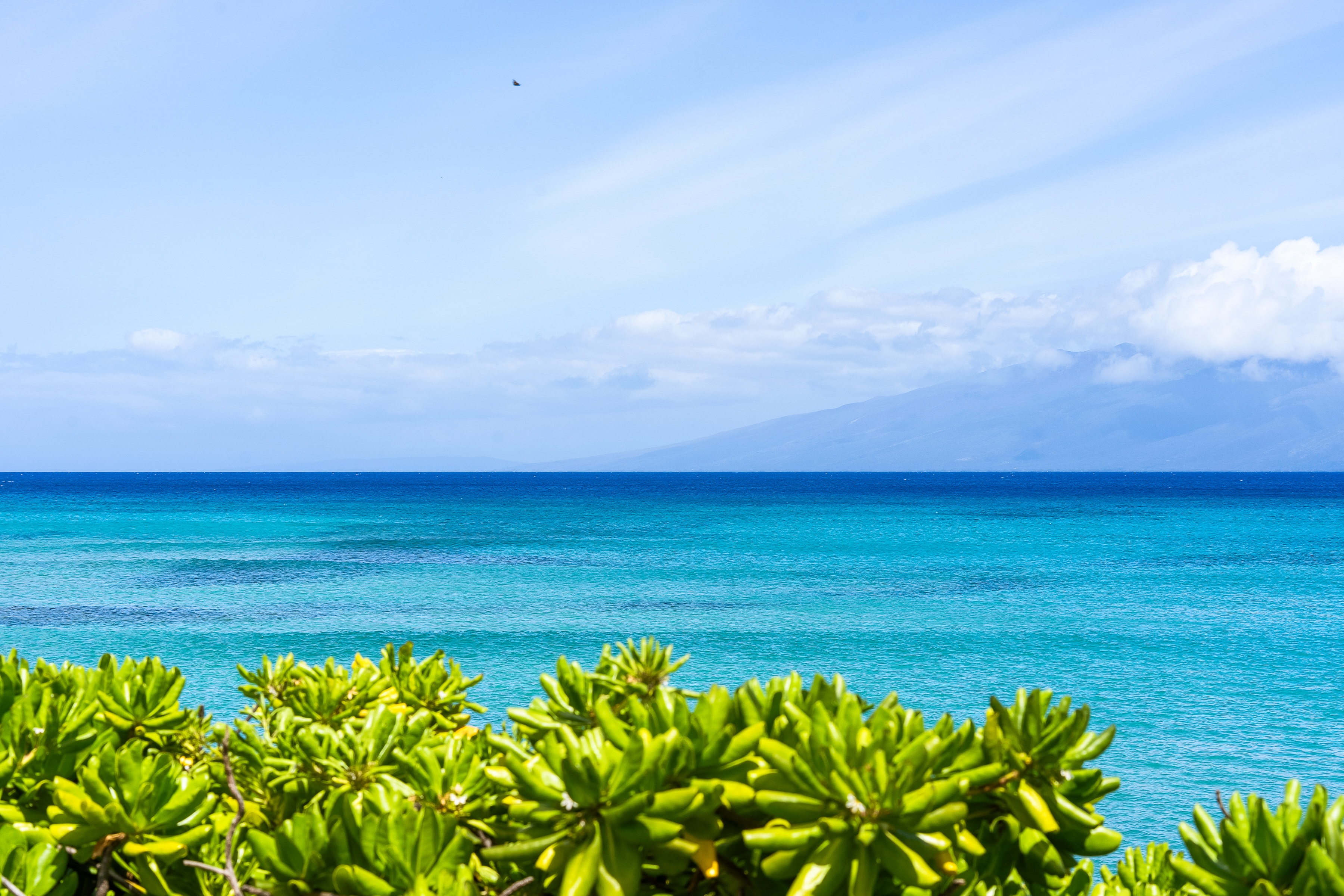  Premier Oceanfront Studio Closest to Ocean - 物件實景