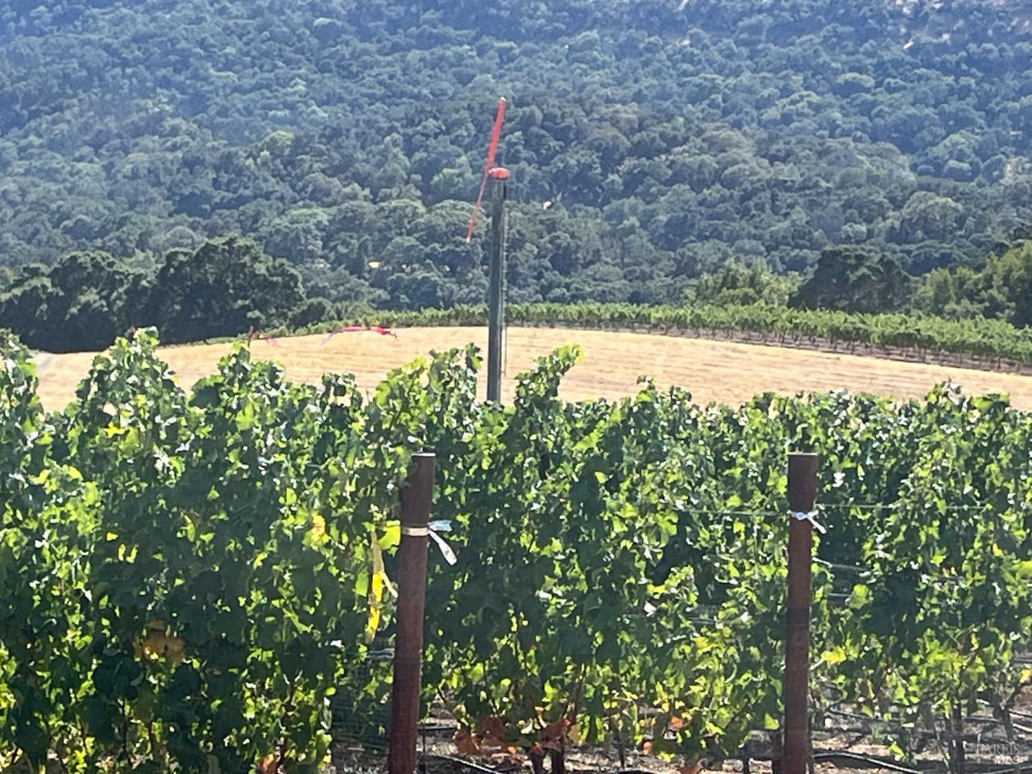 Napa, California, 94558, United States, 3 Bedrooms Bedrooms, ,3 BathroomsBathrooms,Residential,For Sale,1991897