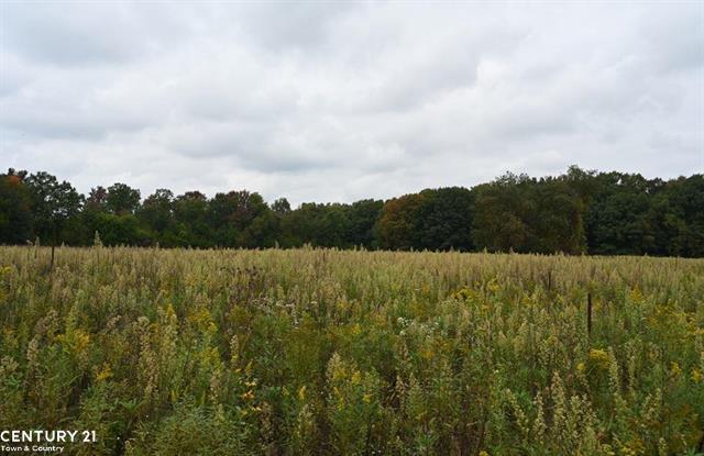 Bennington Twp., Michigan, 48857, United States, ,Residential,For Sale,1755806