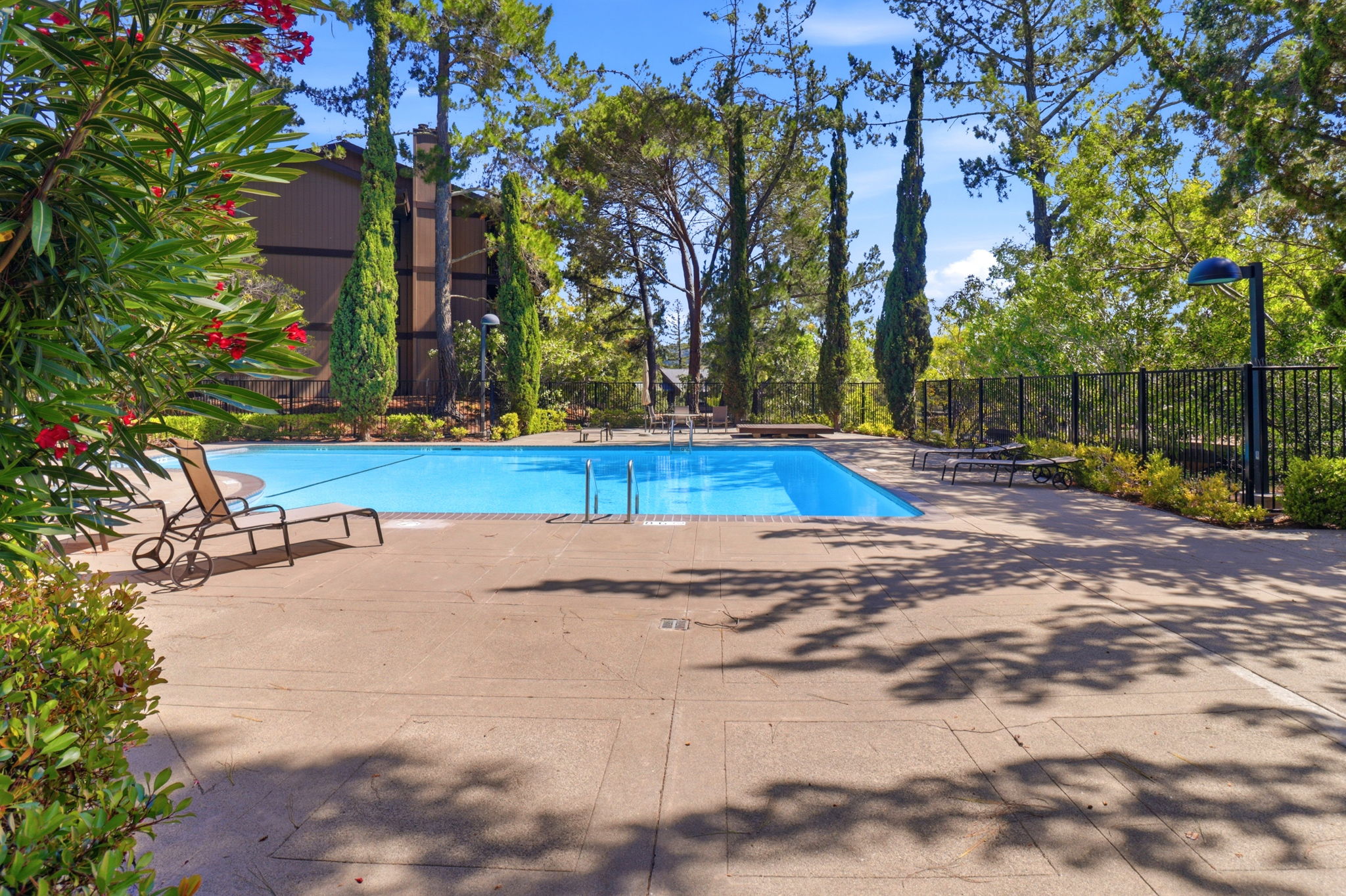  3336 Brittan Ave Unit 2 - 物件實景